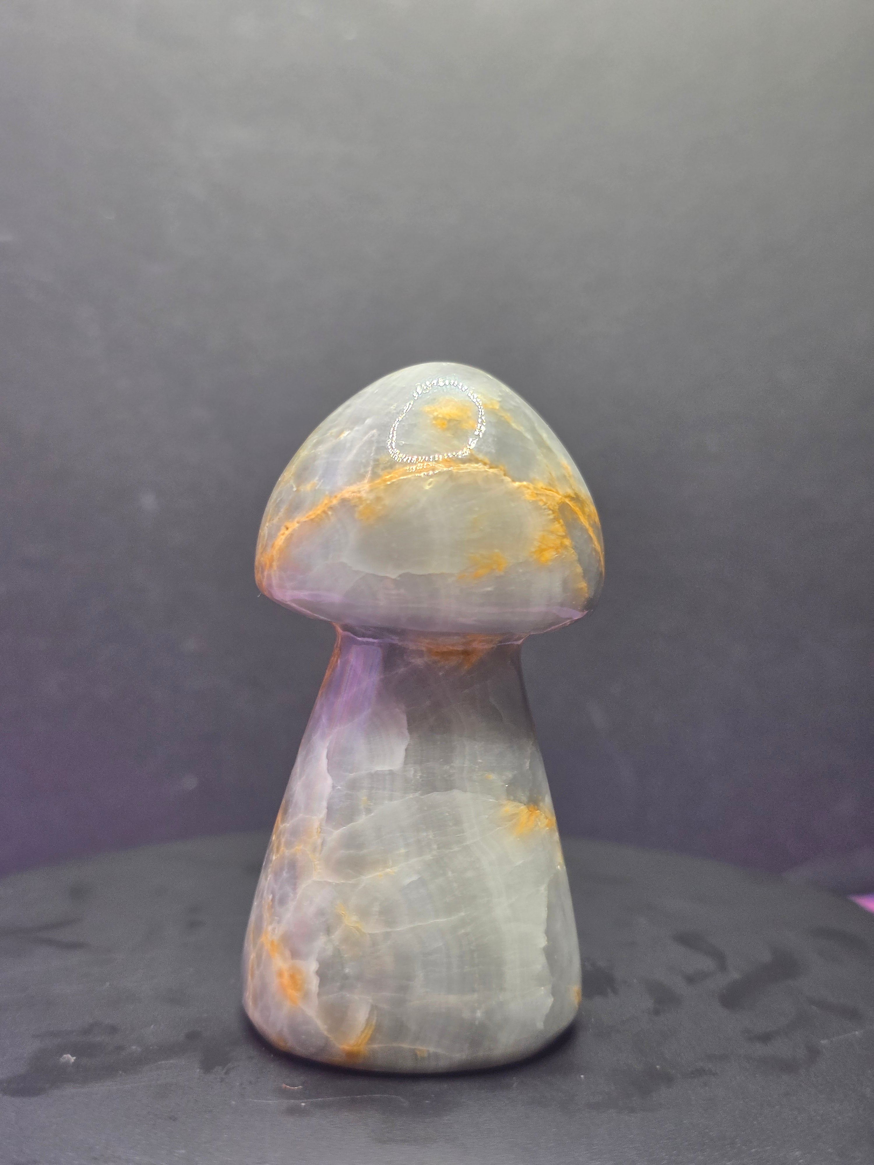 Gray Onyx Mushroom Carving A