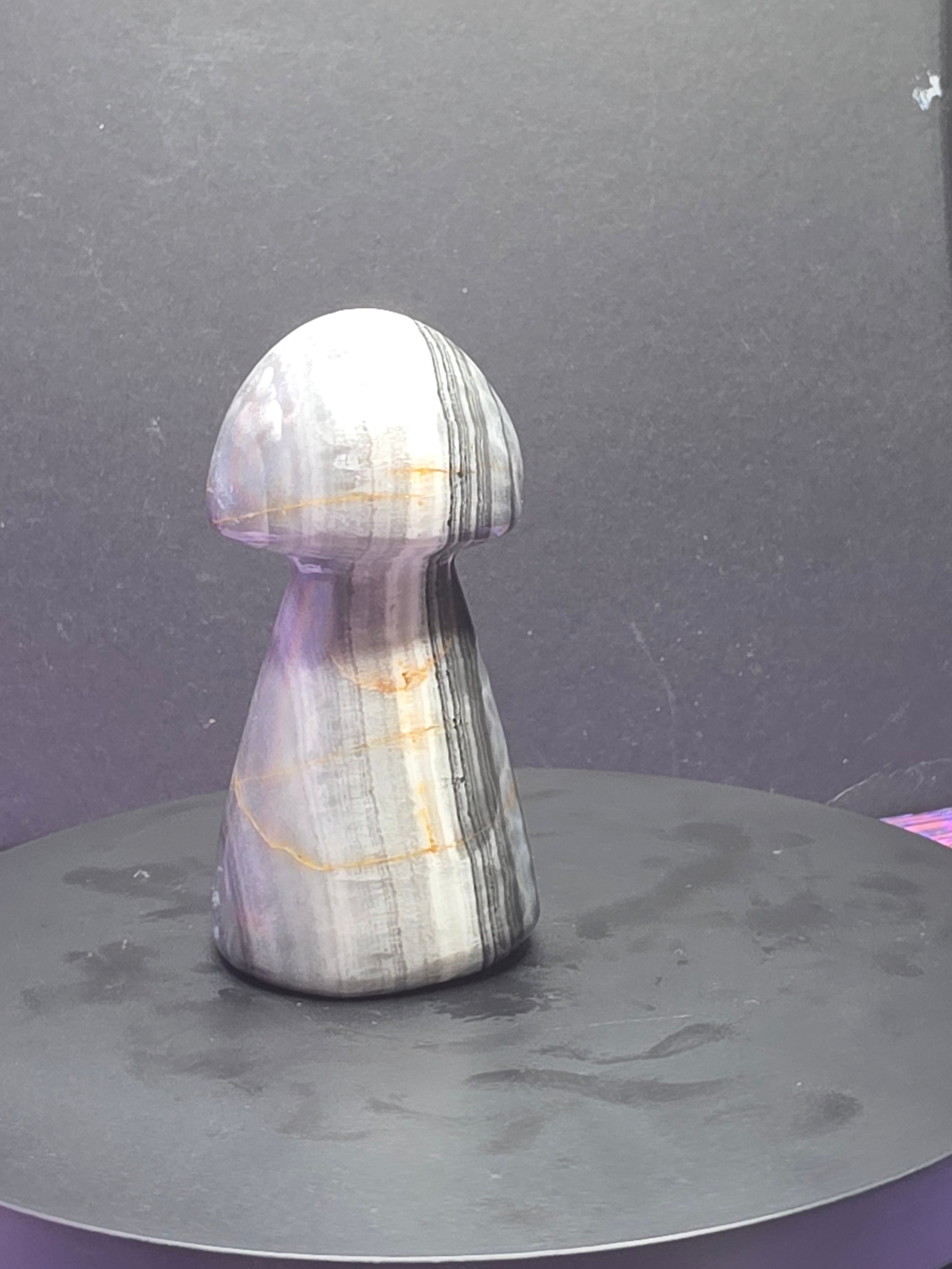 Gray Onyx Mushroom Carving B