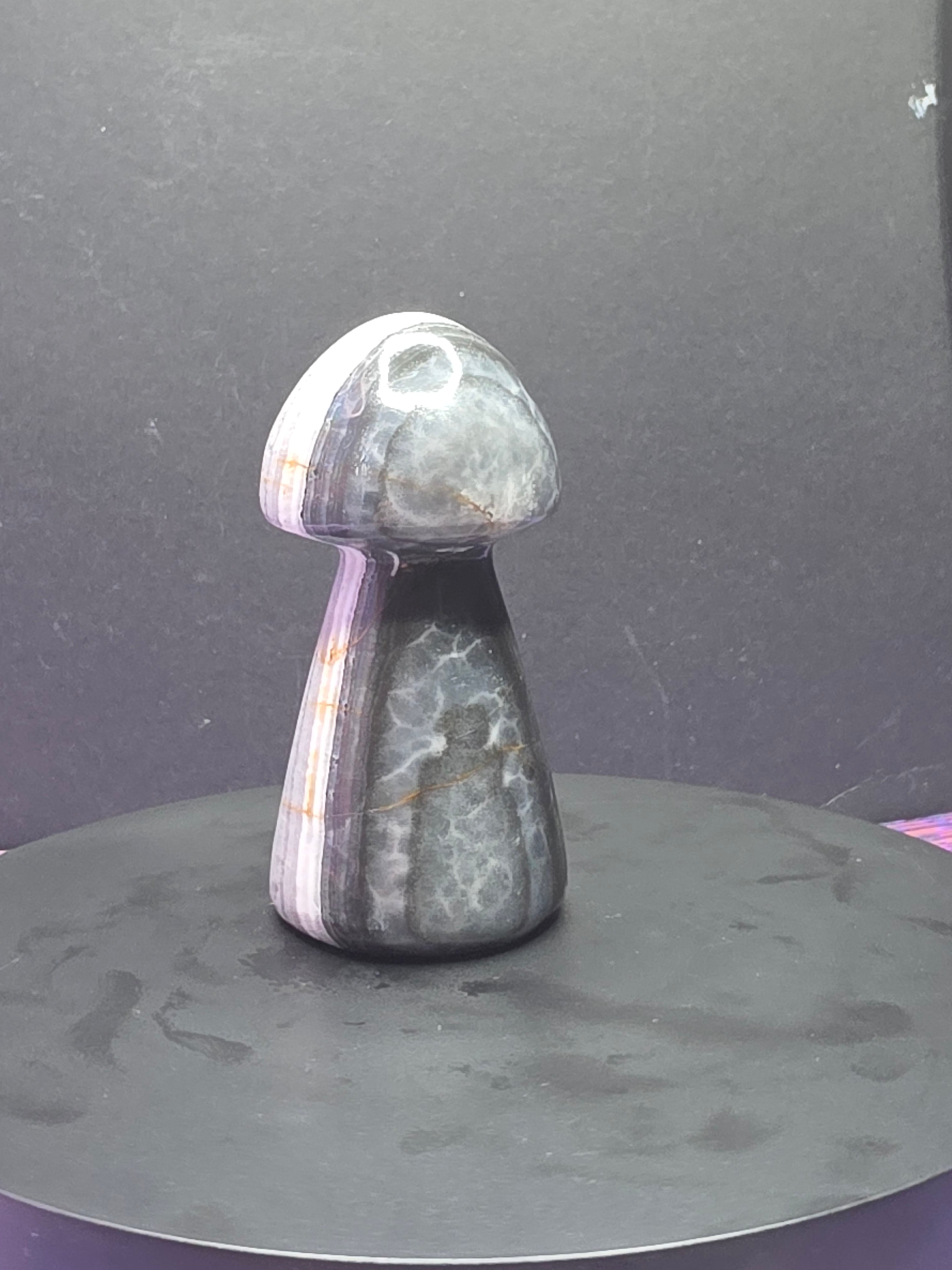 Gray Onyx Mushroom Carving B