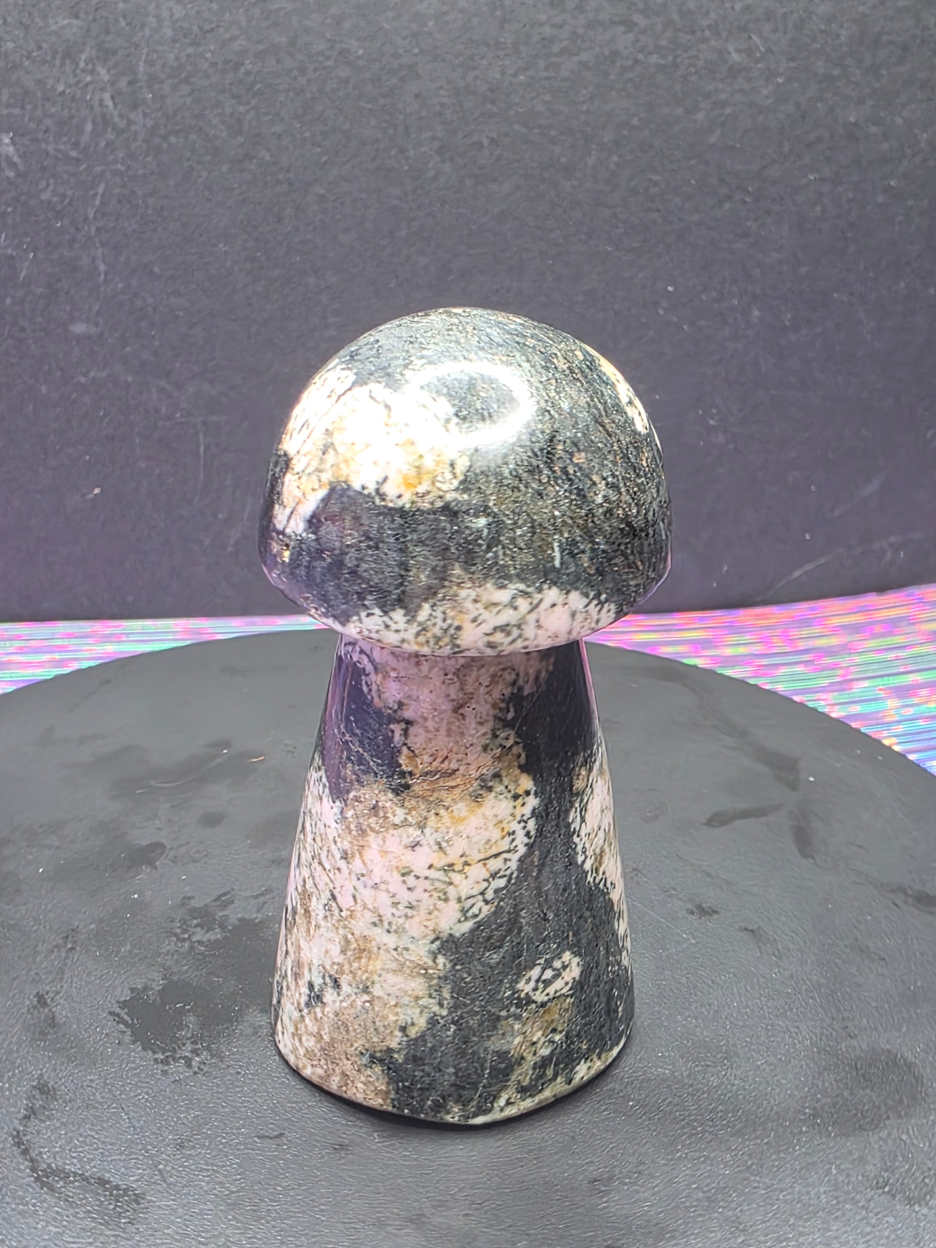 Snowflake Rhodonite Mushroom Carving A