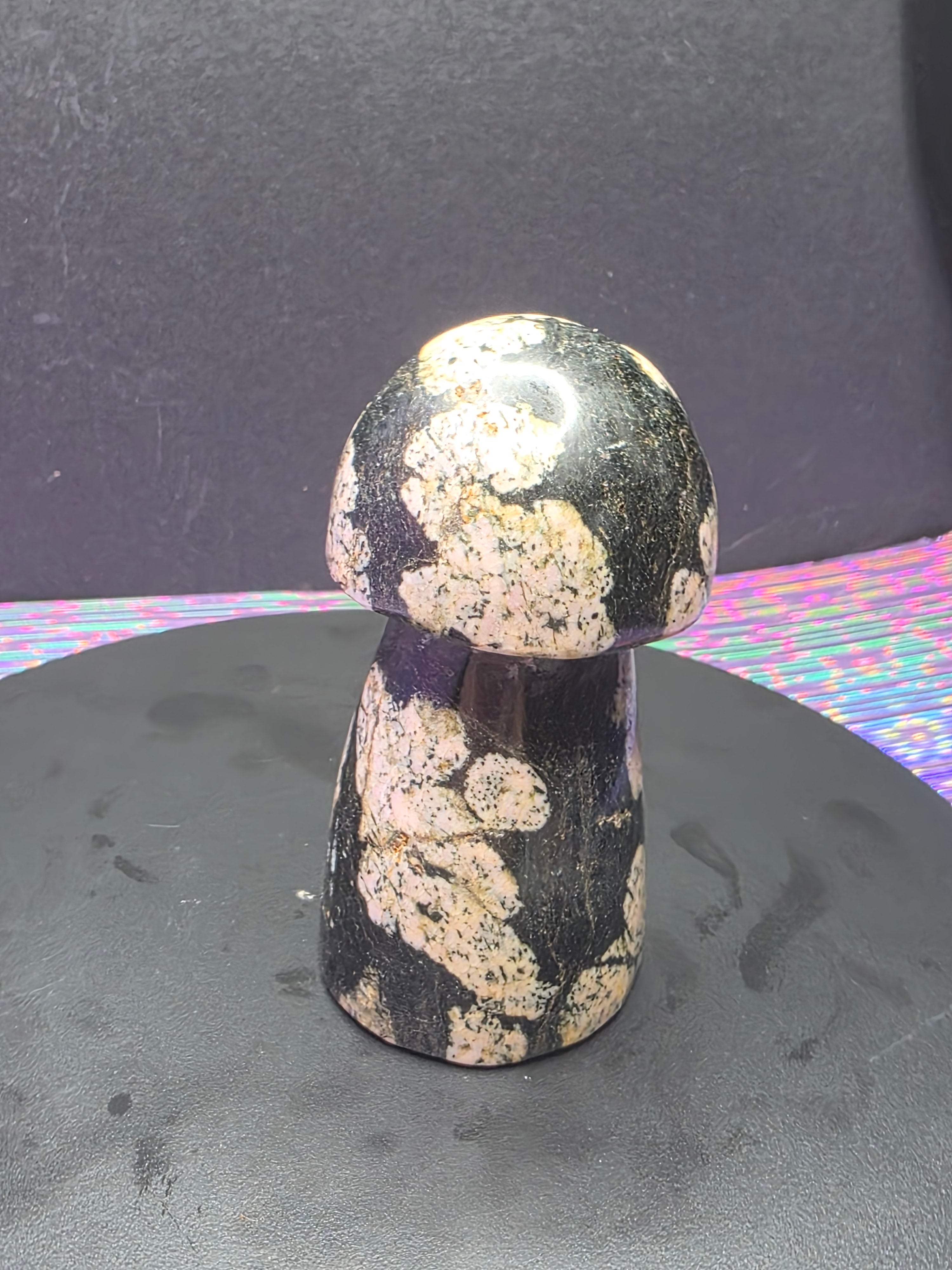 Snowflake Rhodonite Mushroom Carving D