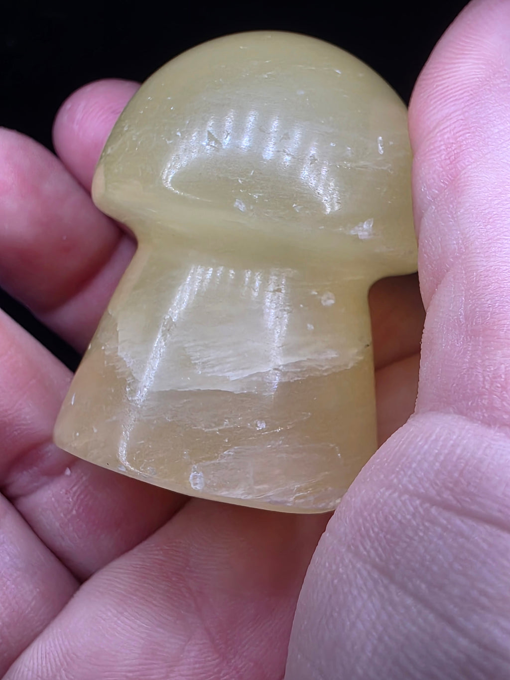 🍄 Lemon Calcite Mushroom Carving B