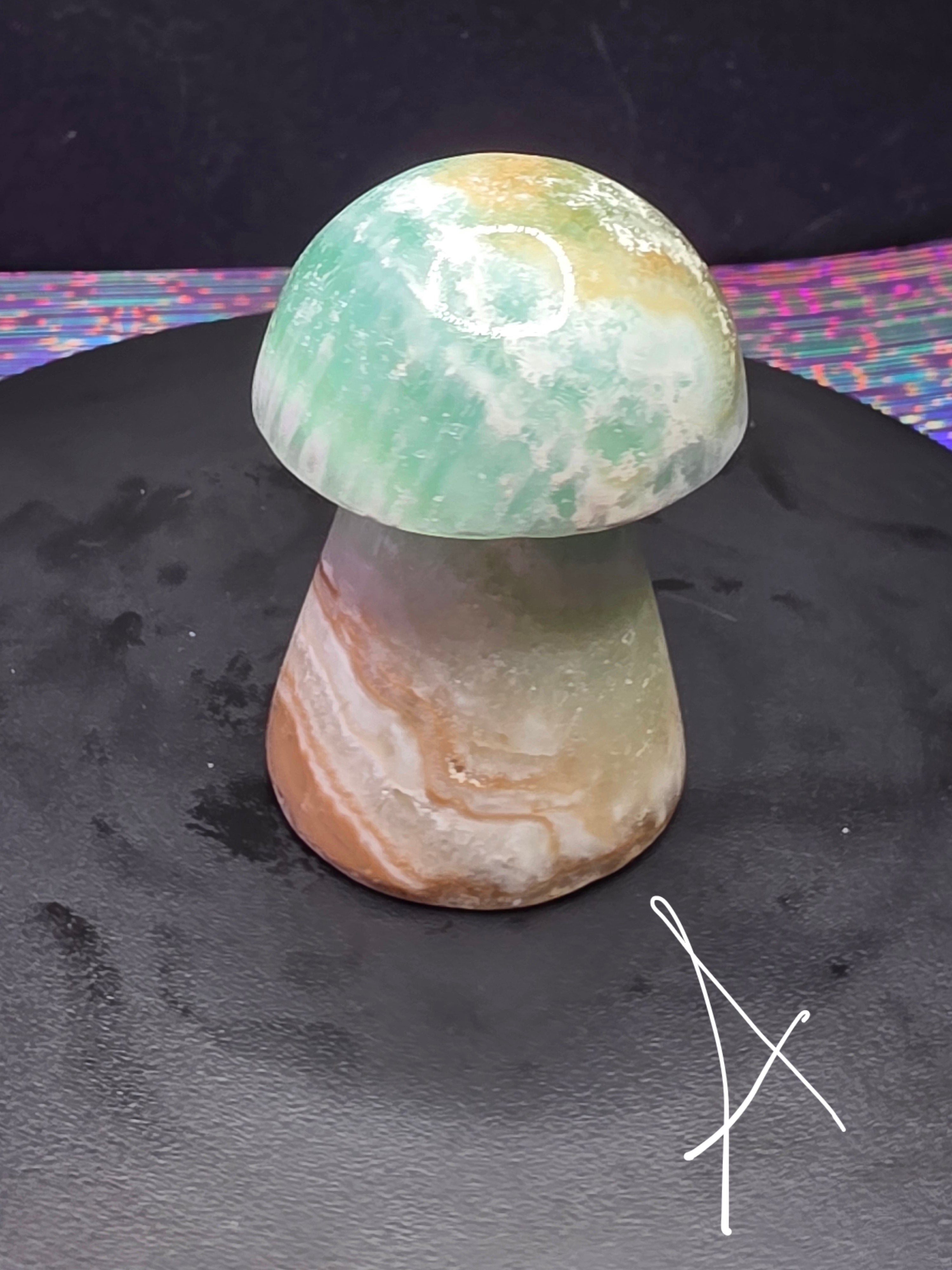 🍄 Caribbean Calcite Mushroom Carving A