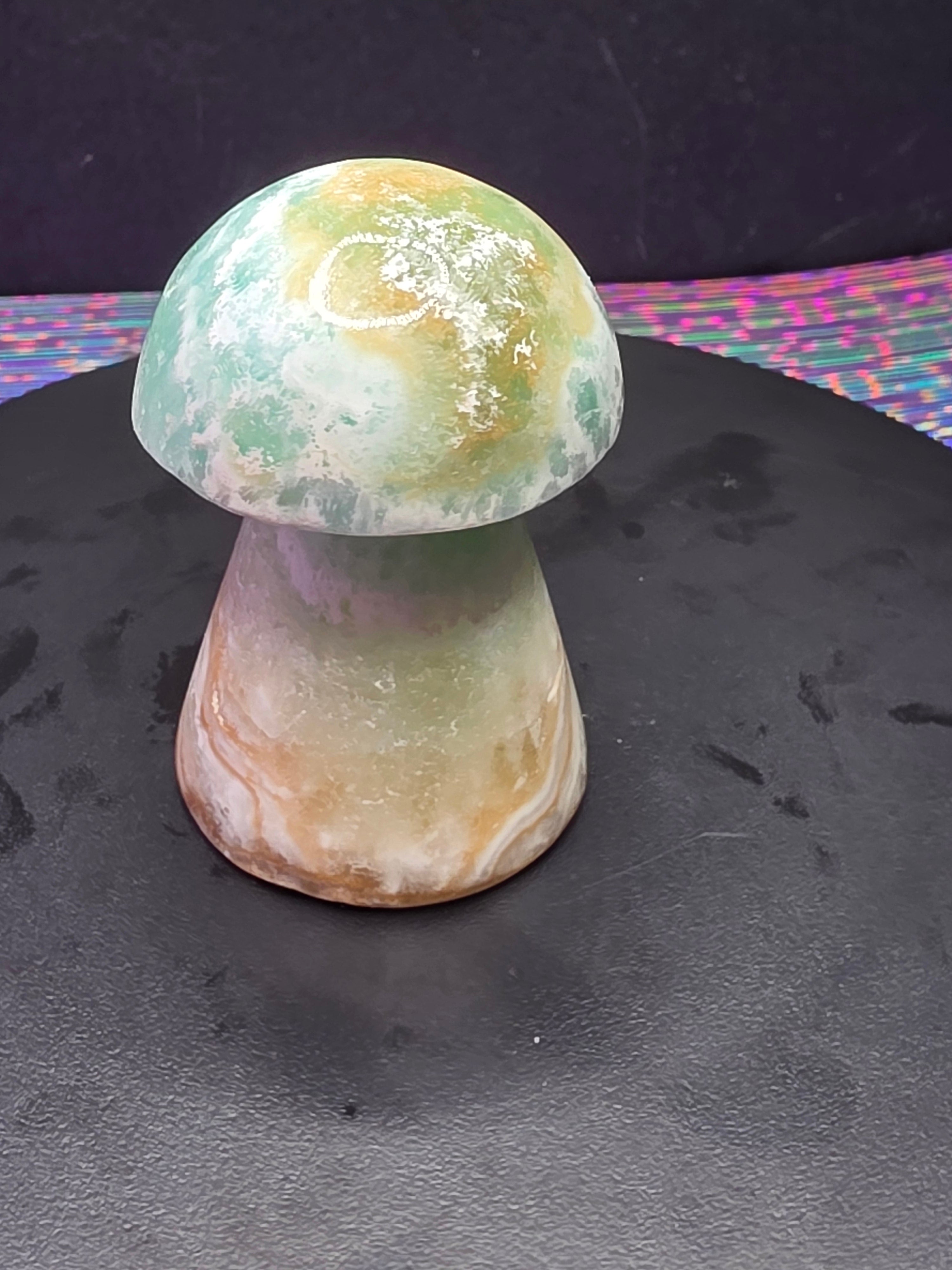 🍄 Caribbean Calcite Mushroom Carving A
