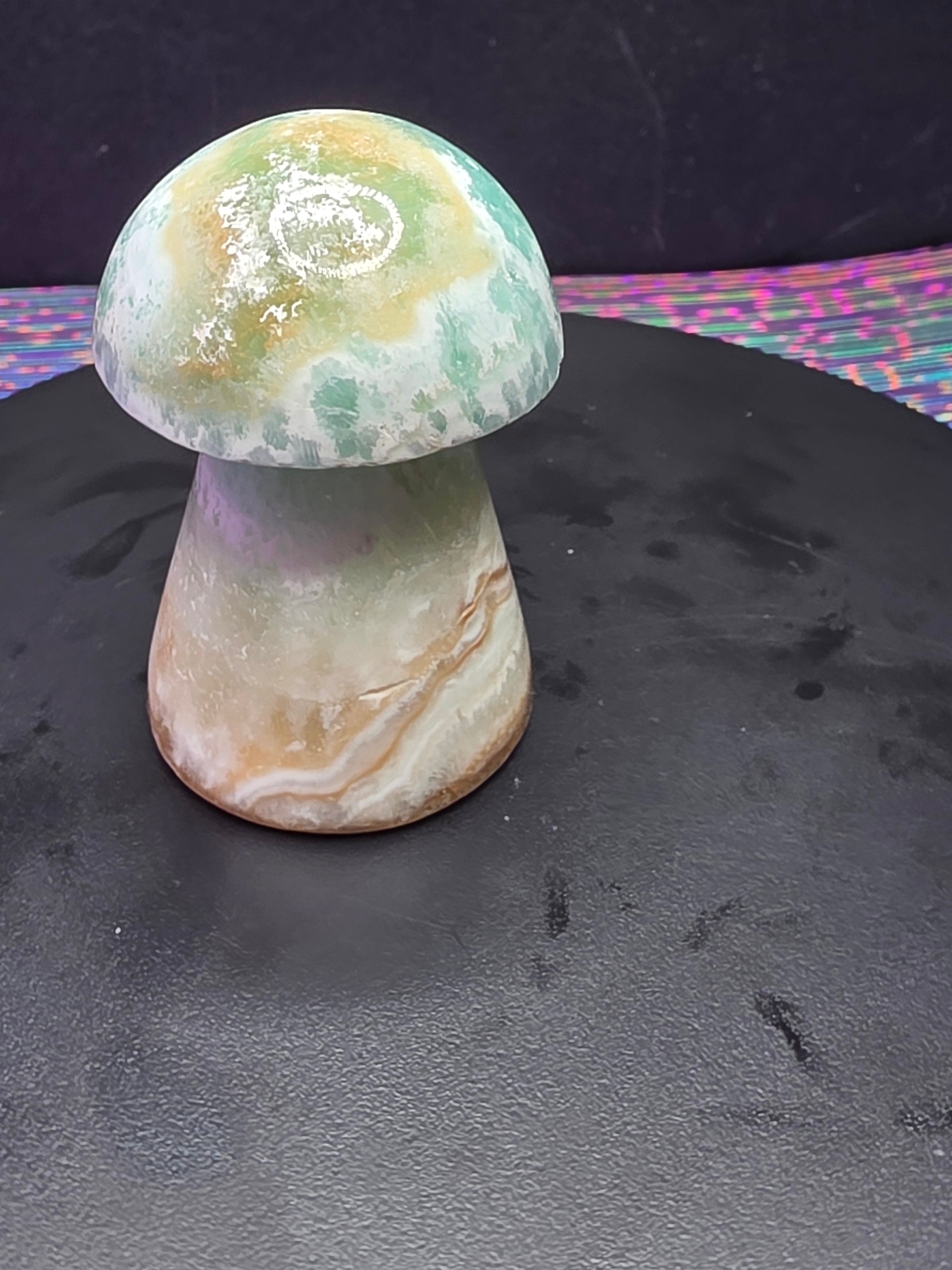 🍄 Caribbean Calcite Mushroom Carving A