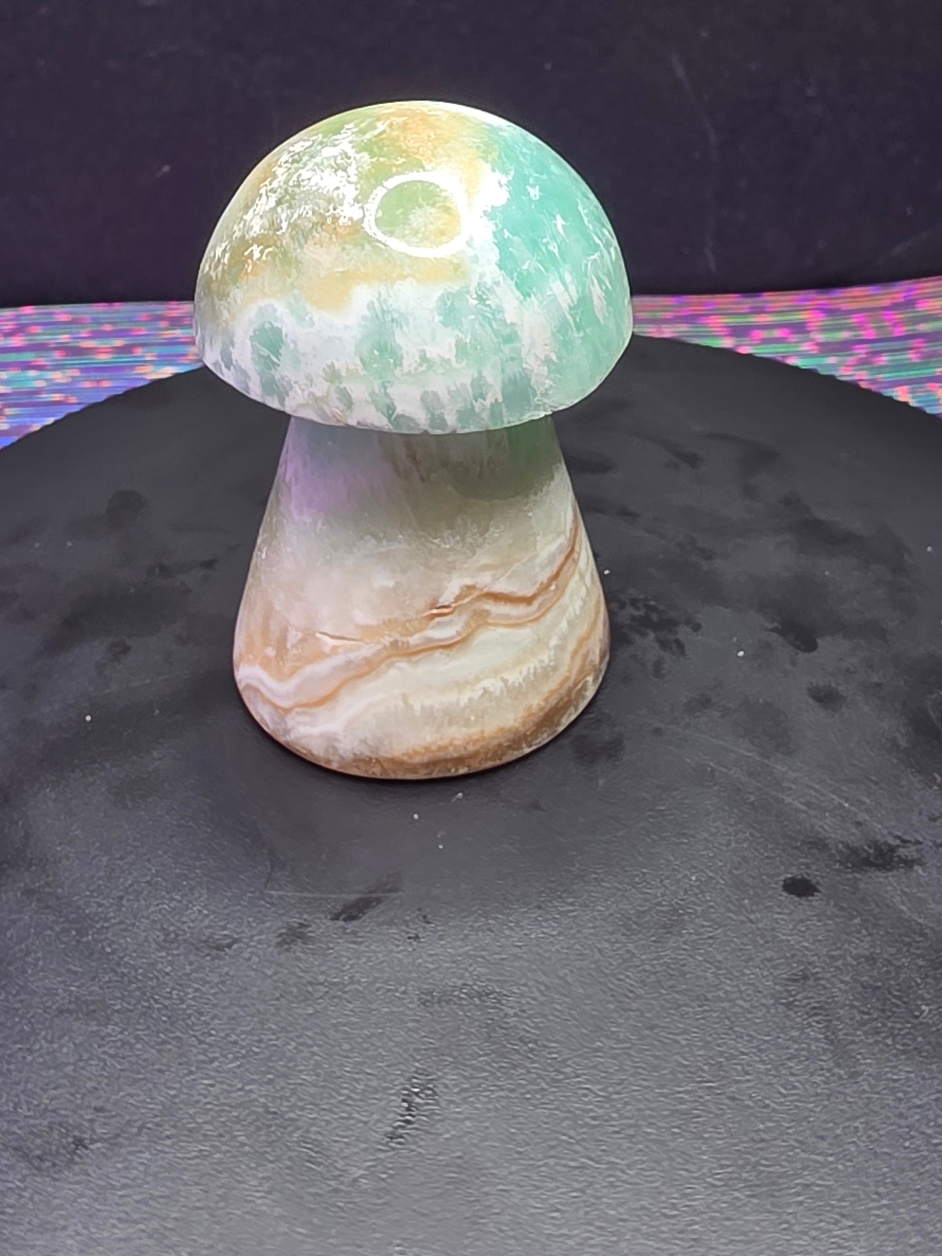 🍄 Caribbean Calcite Mushroom Carving A