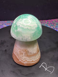 🍄 Caribbean Calcite Mushroom Carving B