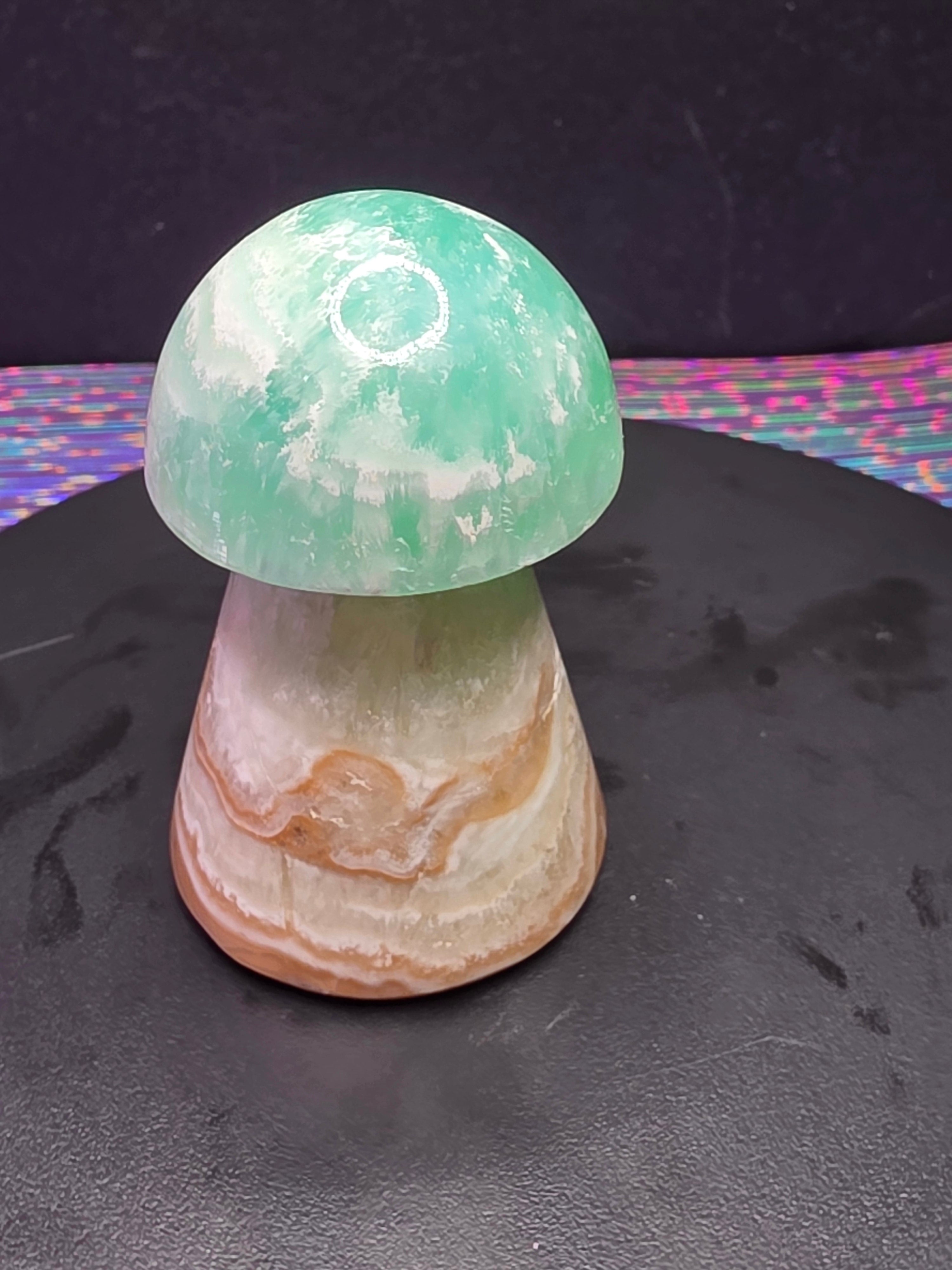 🍄 Caribbean Calcite Mushroom Carving B