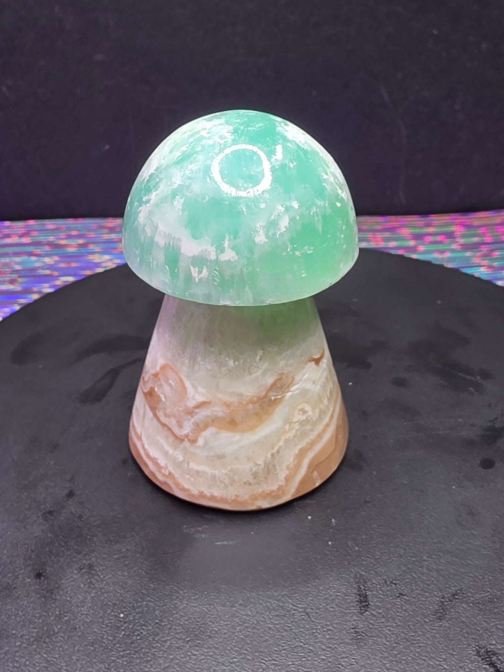 🍄 Caribbean Calcite Mushroom Carving B
