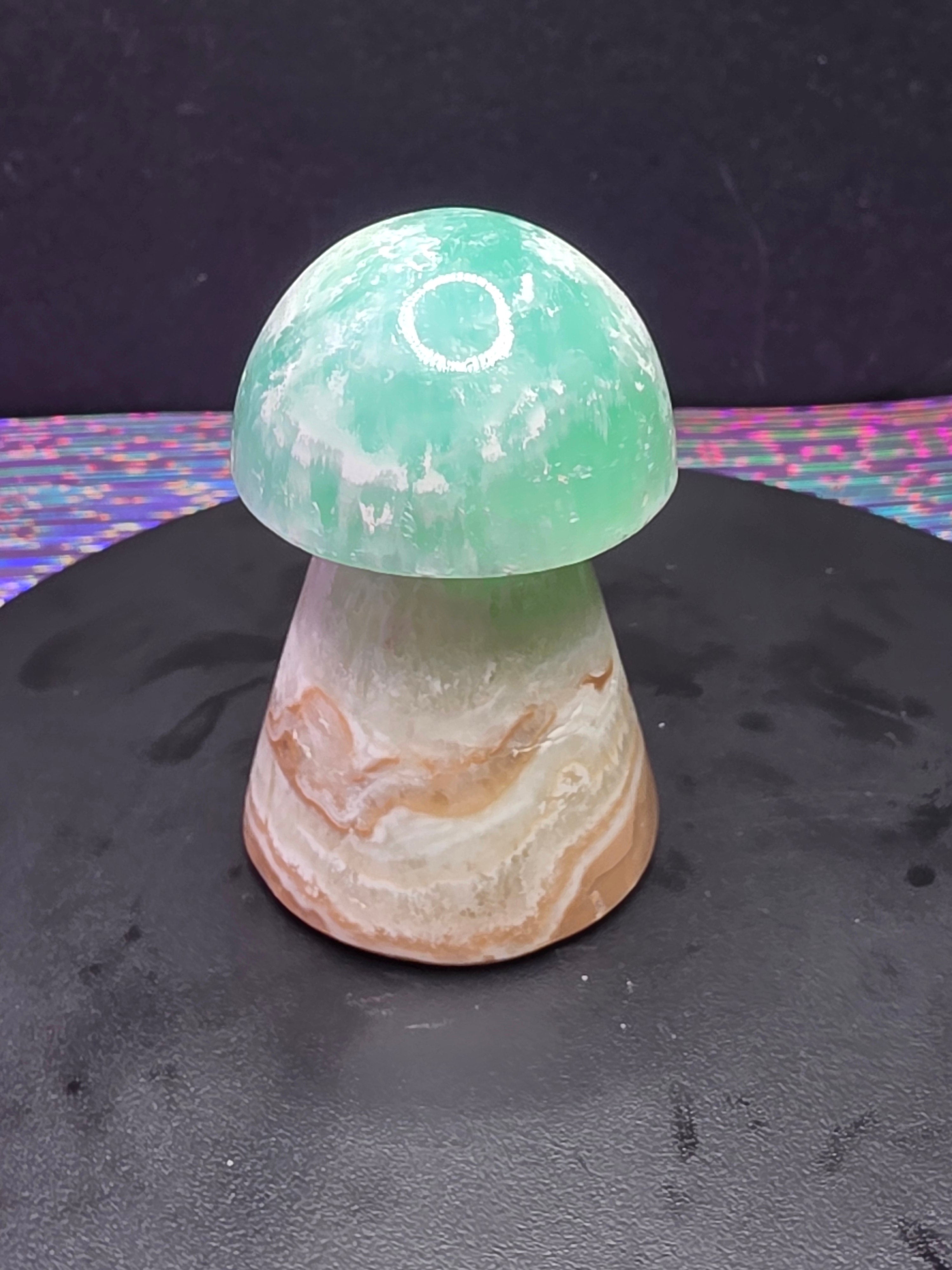 🍄 Caribbean Calcite Mushroom Carving B