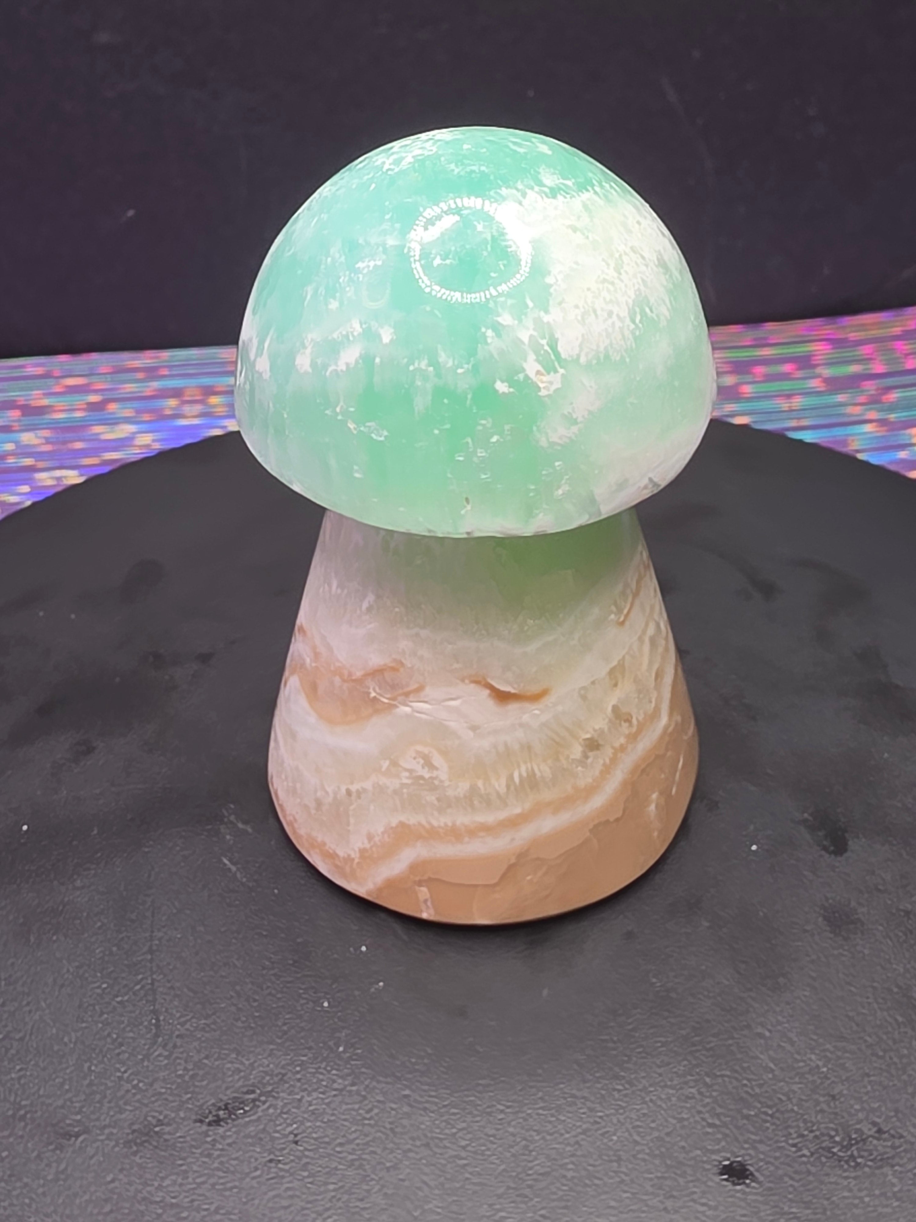 🍄 Caribbean Calcite Mushroom Carving B