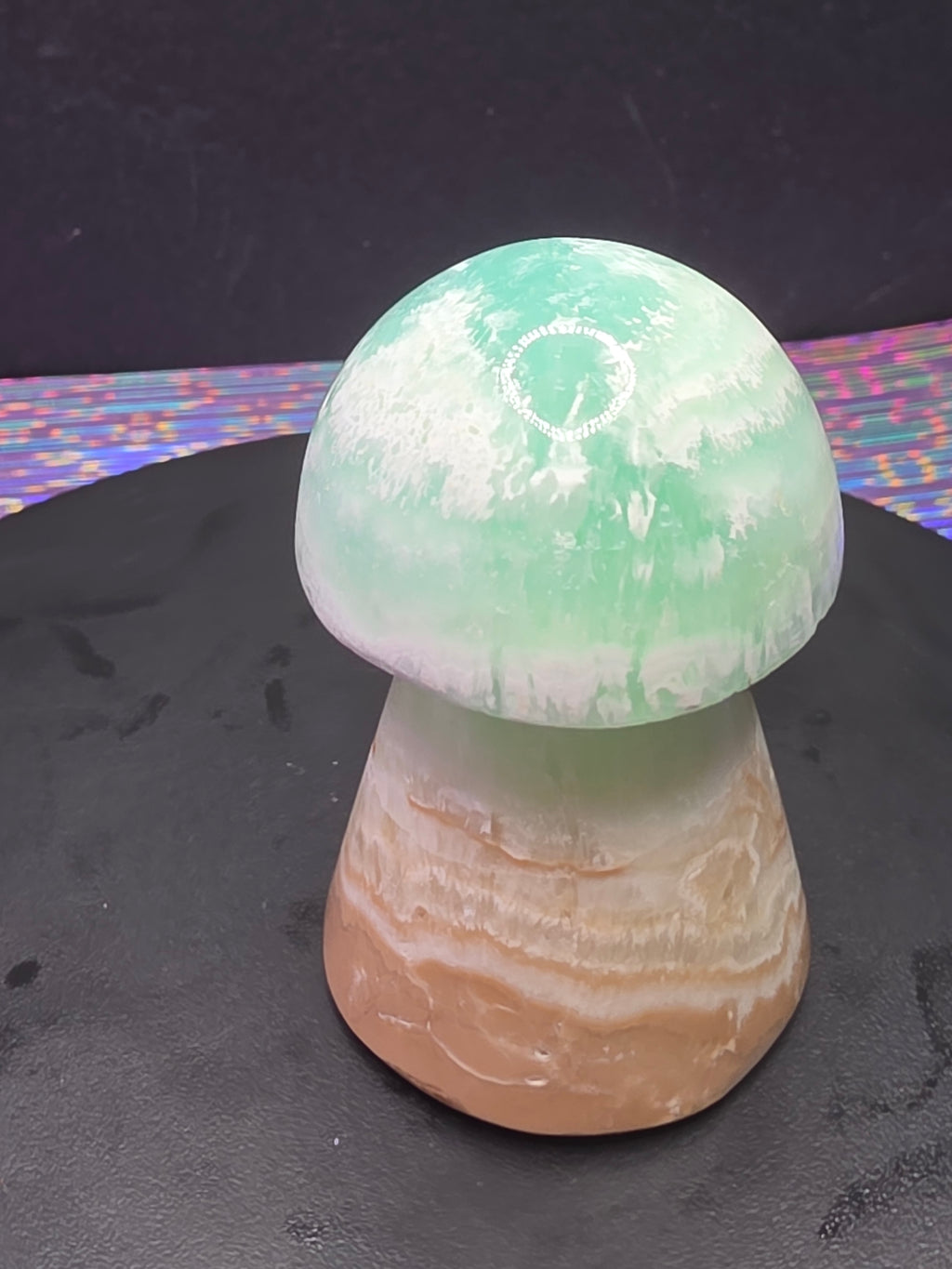 🍄 Caribbean Calcite Mushroom Carving B
