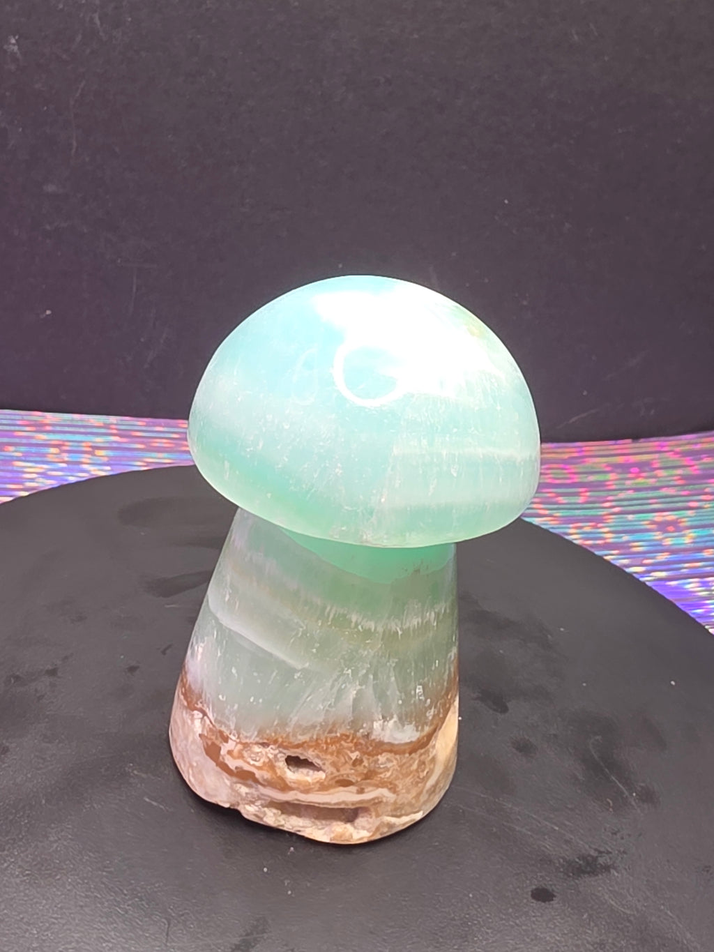 🍄 Caribbean Calcite Mushroom Carving C