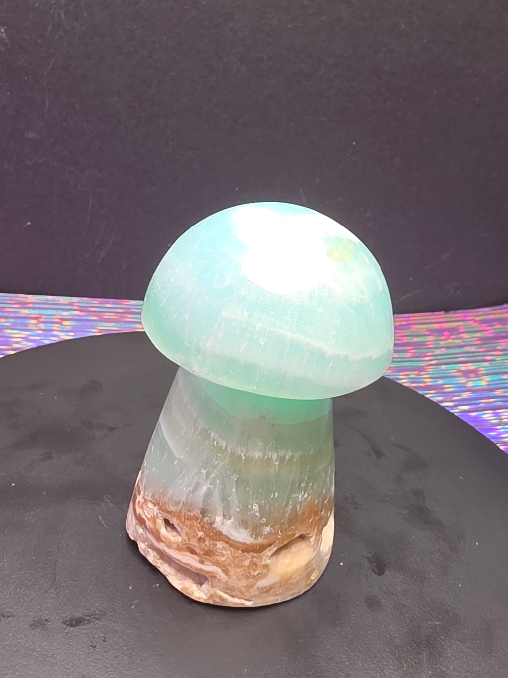 🍄 Caribbean Calcite Mushroom Carving C