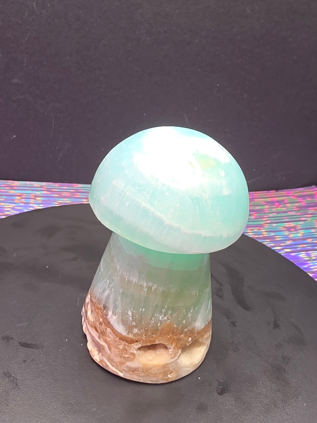 🍄 Caribbean Calcite Mushroom Carving C