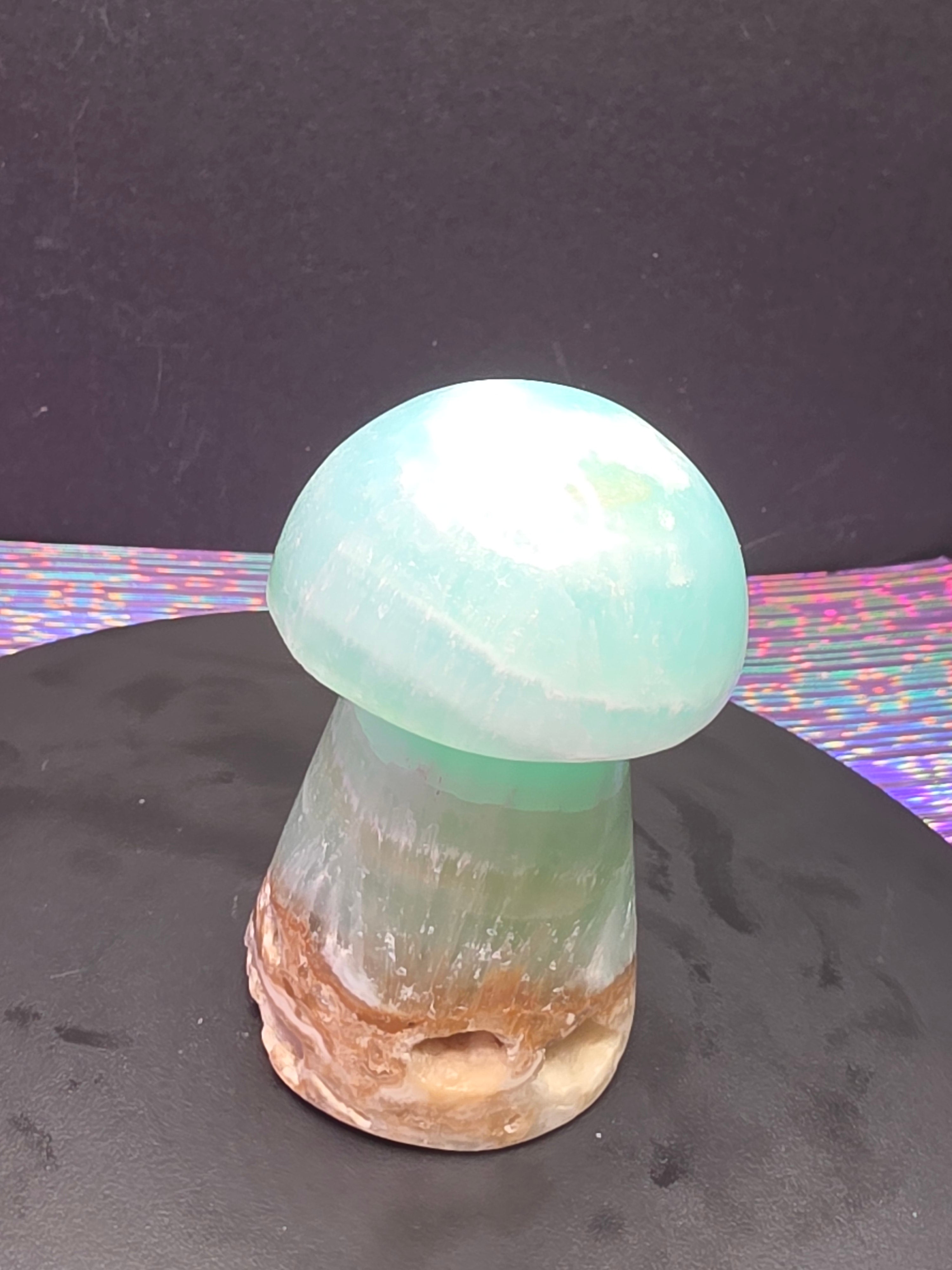 🍄 Caribbean Calcite Mushroom Carving C