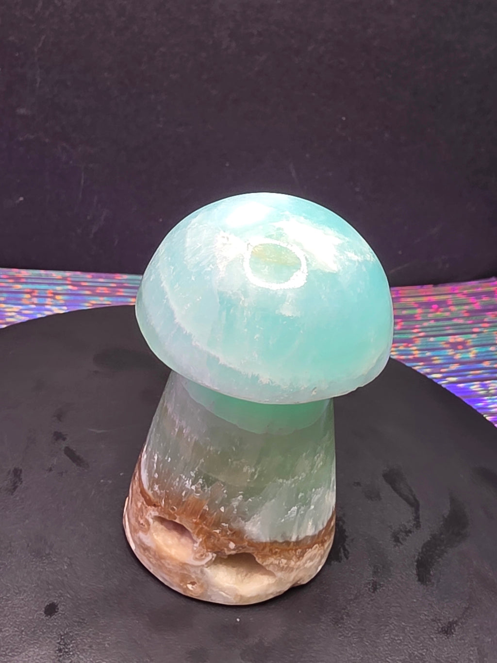 🍄 Caribbean Calcite Mushroom Carving C