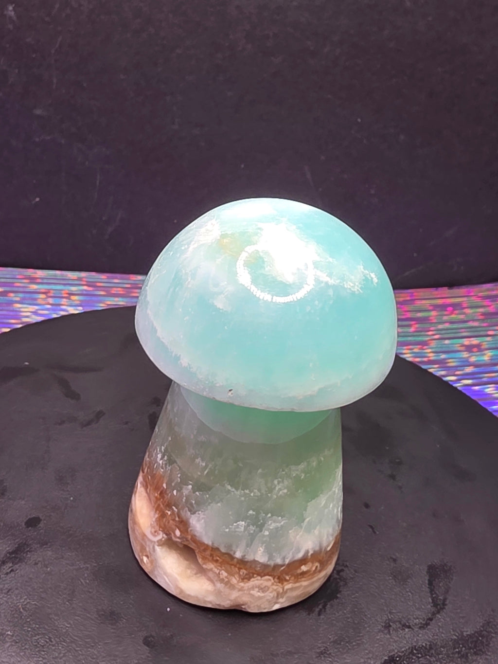 🍄 Caribbean Calcite Mushroom Carving C