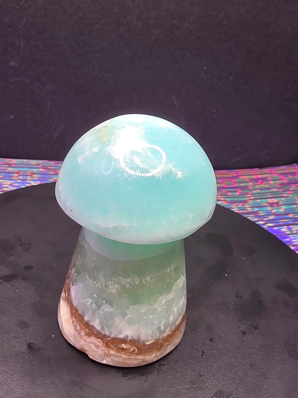 🍄 Caribbean Calcite Mushroom Carving C
