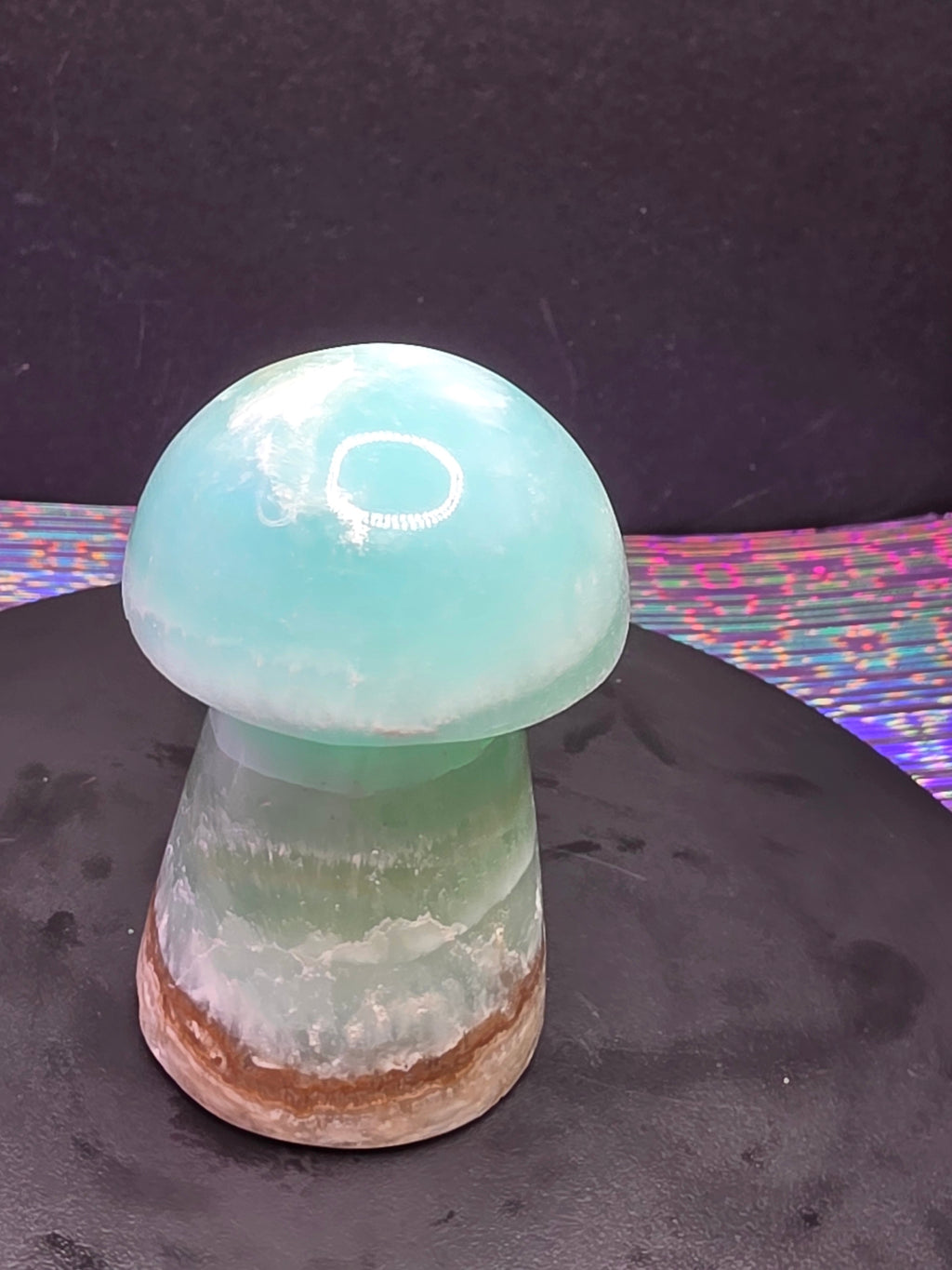 🍄 Caribbean Calcite Mushroom Carving C