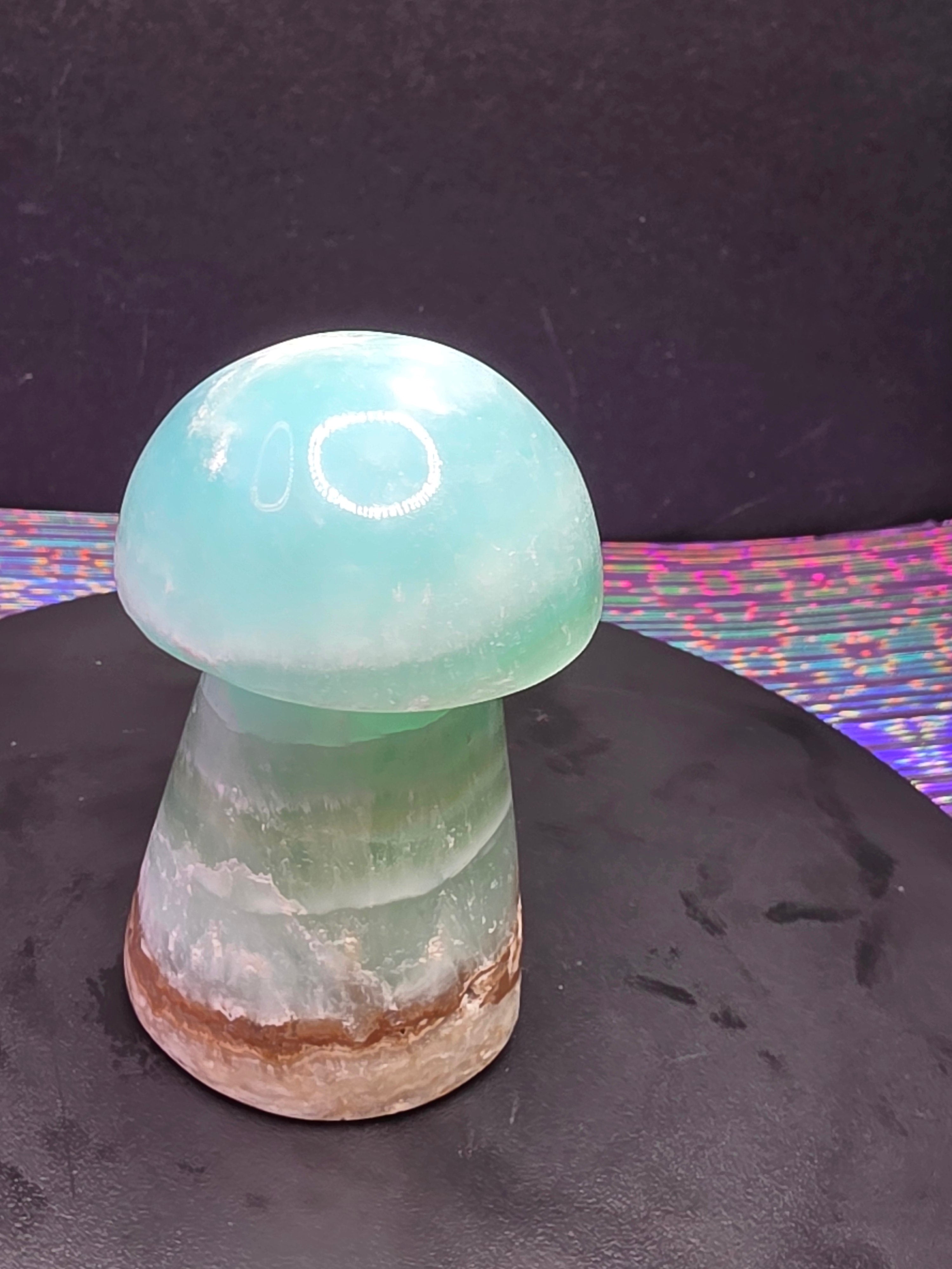 🍄 Caribbean Calcite Mushroom Carving C
