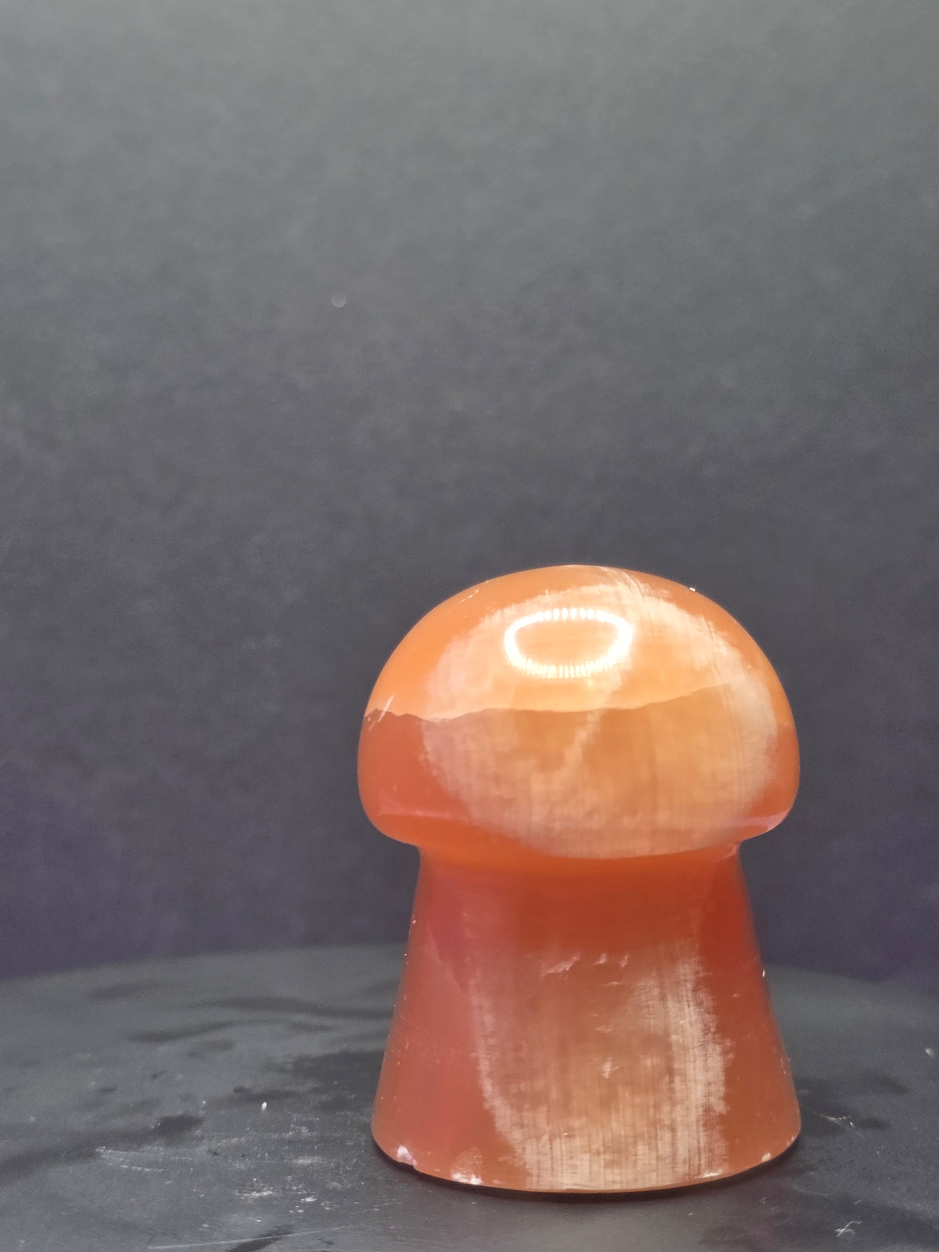 🍄 Caramel Calcite Mushroom Carving A