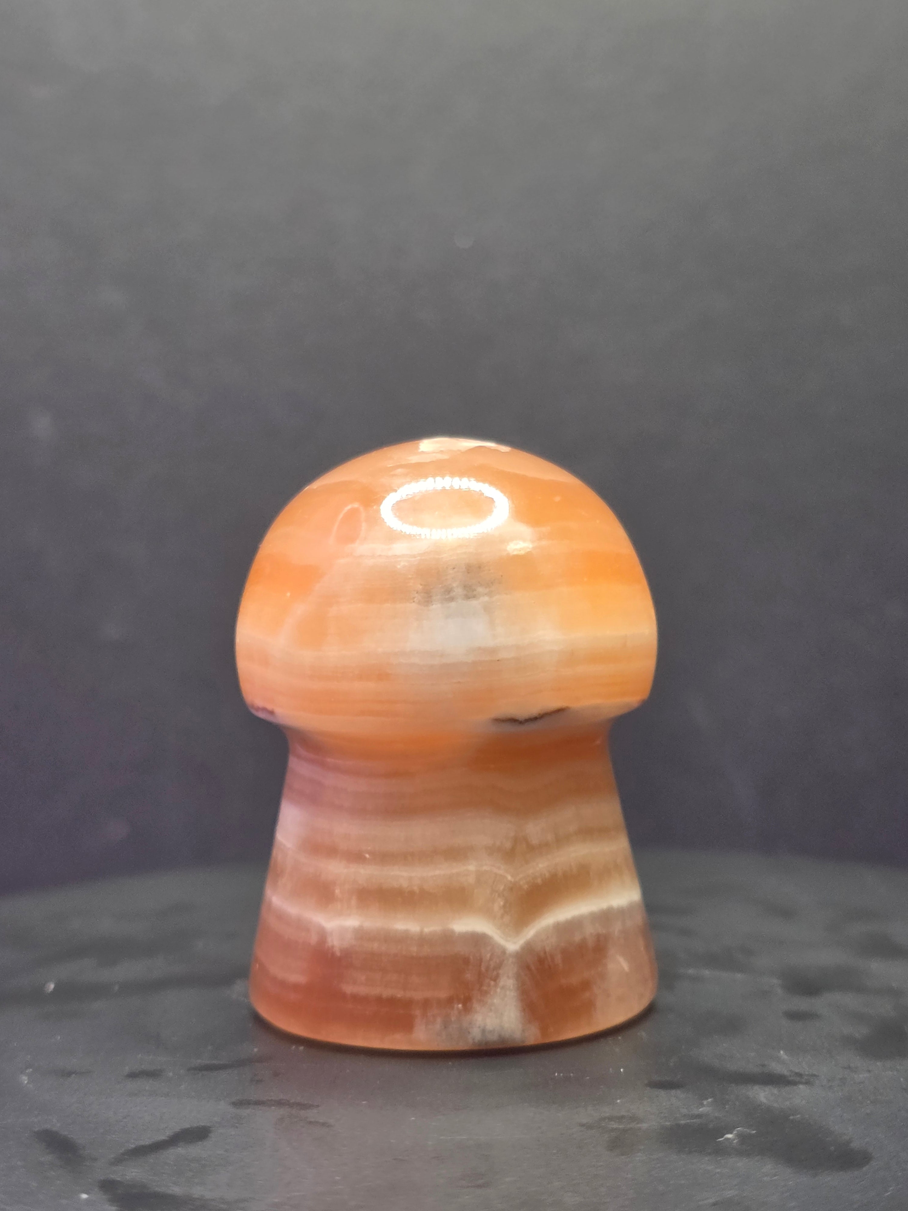 🍄 Caramel Calcite Mushroom Carving B
