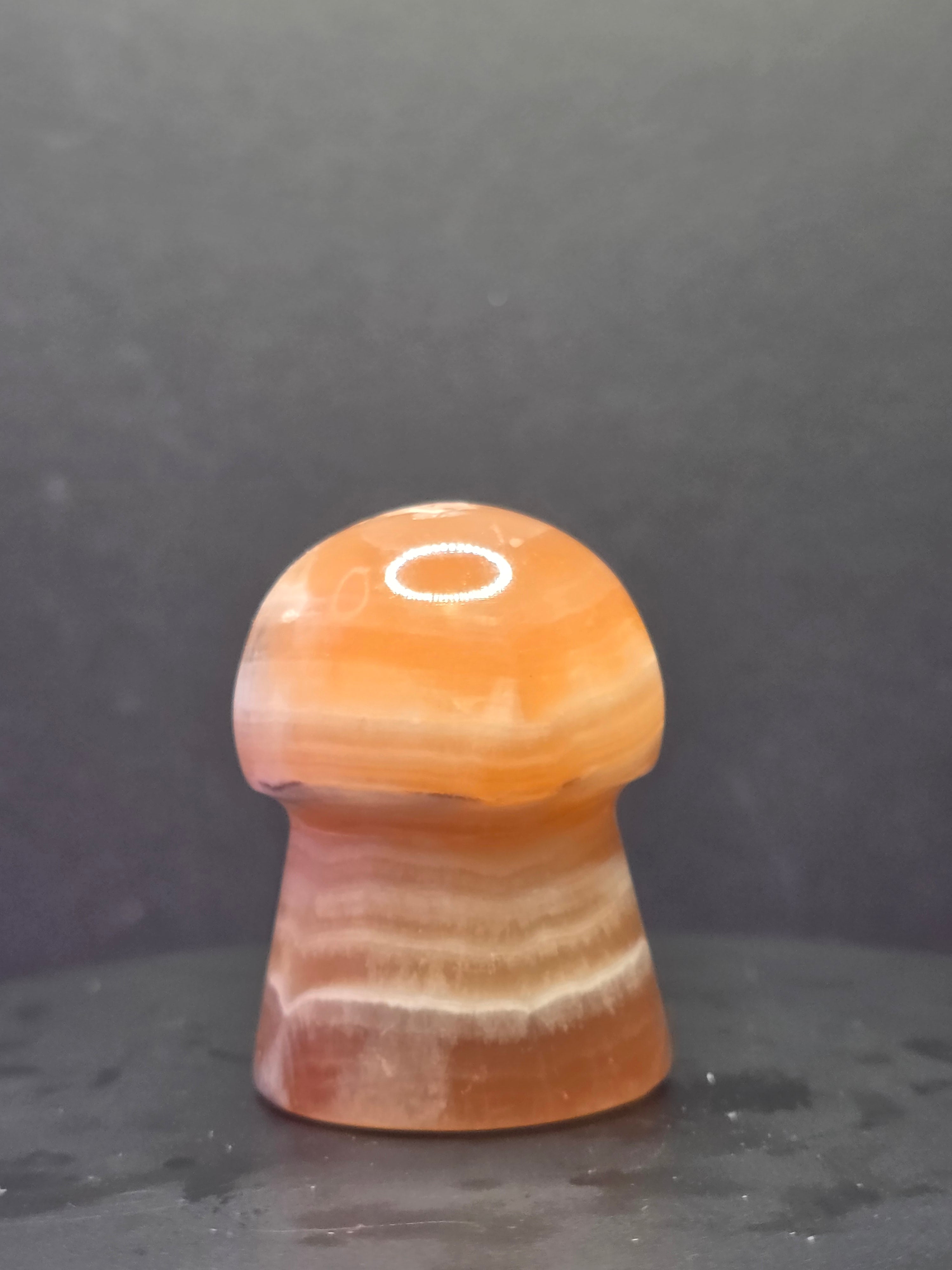 🍄 Caramel Calcite Mushroom Carving B