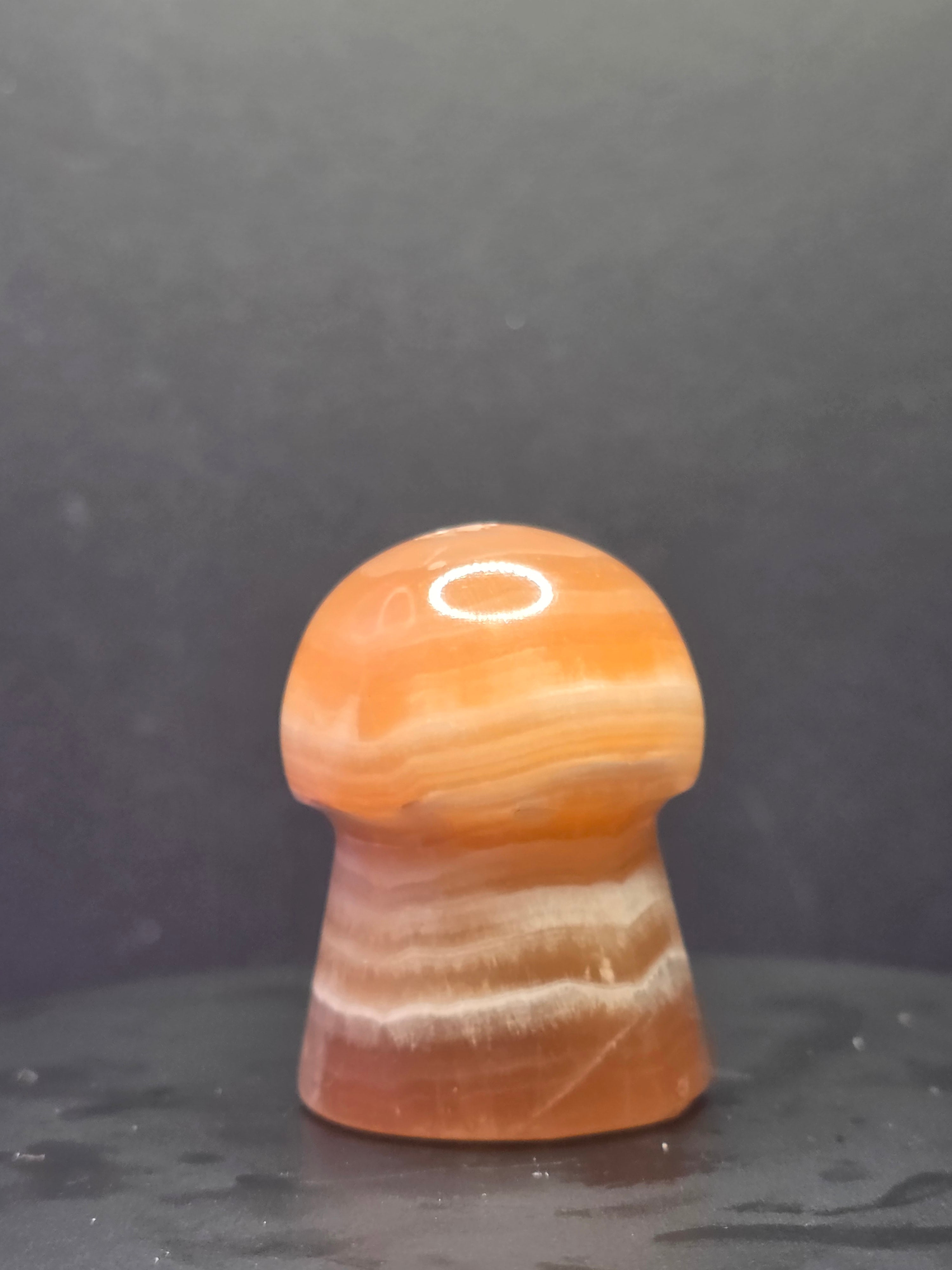 🍄 Caramel Calcite Mushroom Carving B