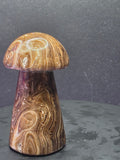 🍄 Chocolate Calcite Mushroom Carving A
