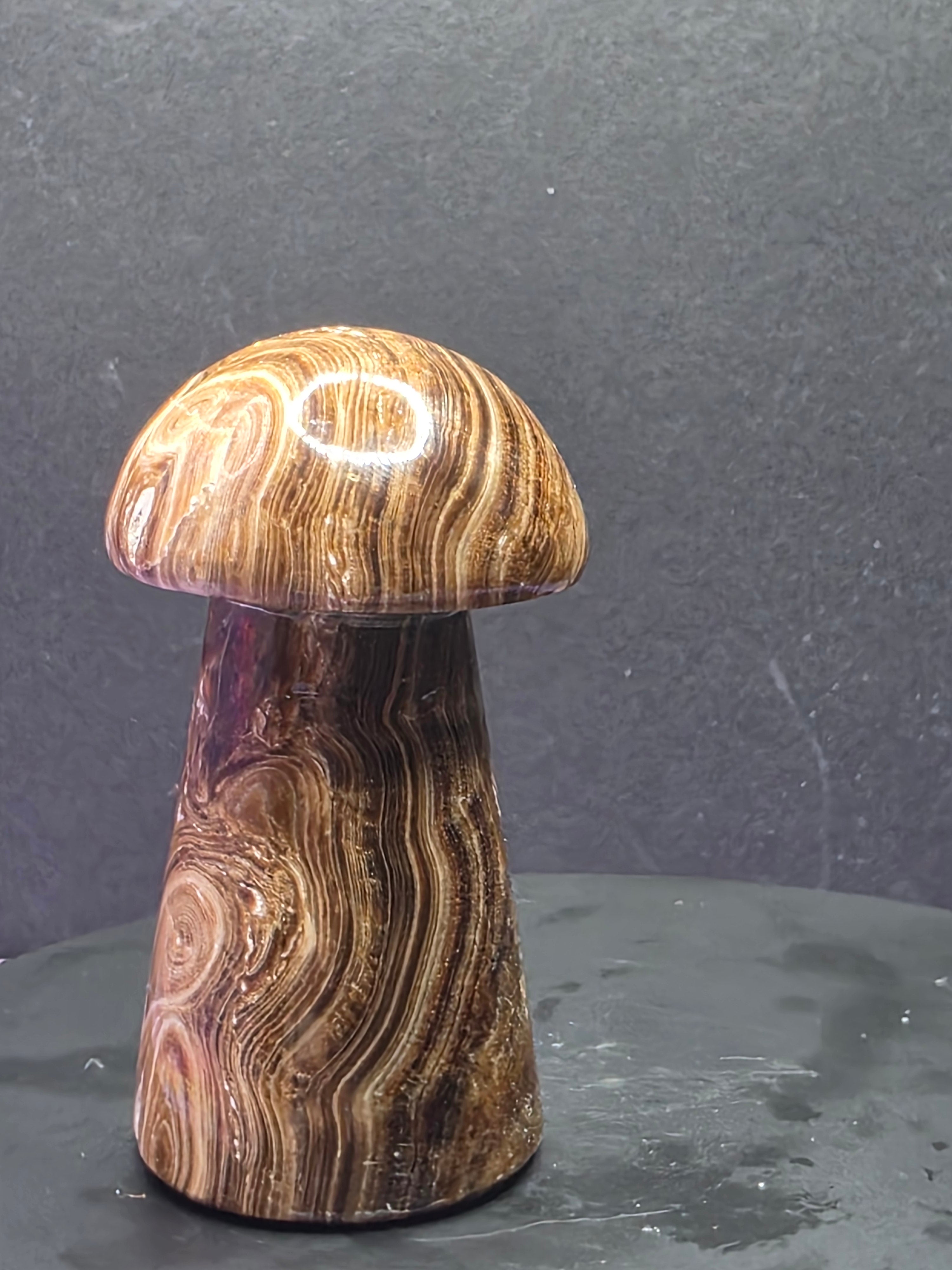 🍄 Chocolate Calcite Mushroom Carving A
