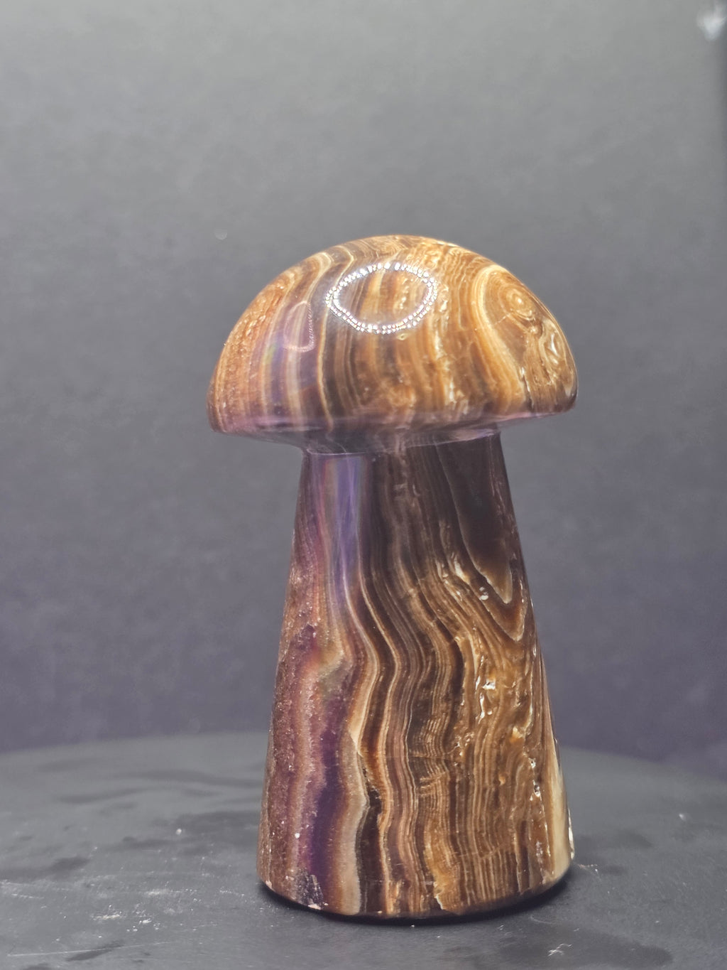 🍄 Chocolate Calcite Mushroom Carving A