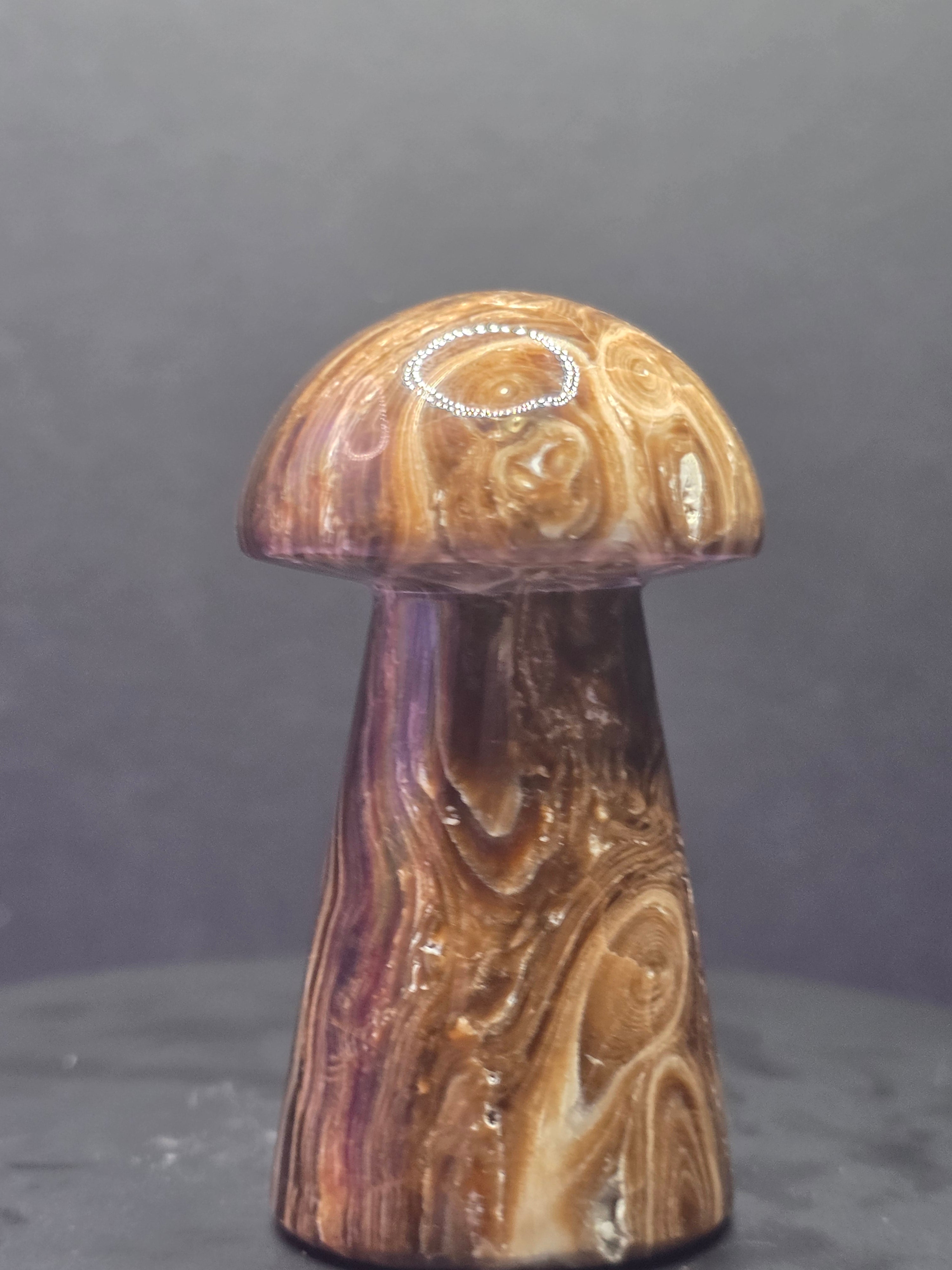 🍄 Chocolate Calcite Mushroom Carving A