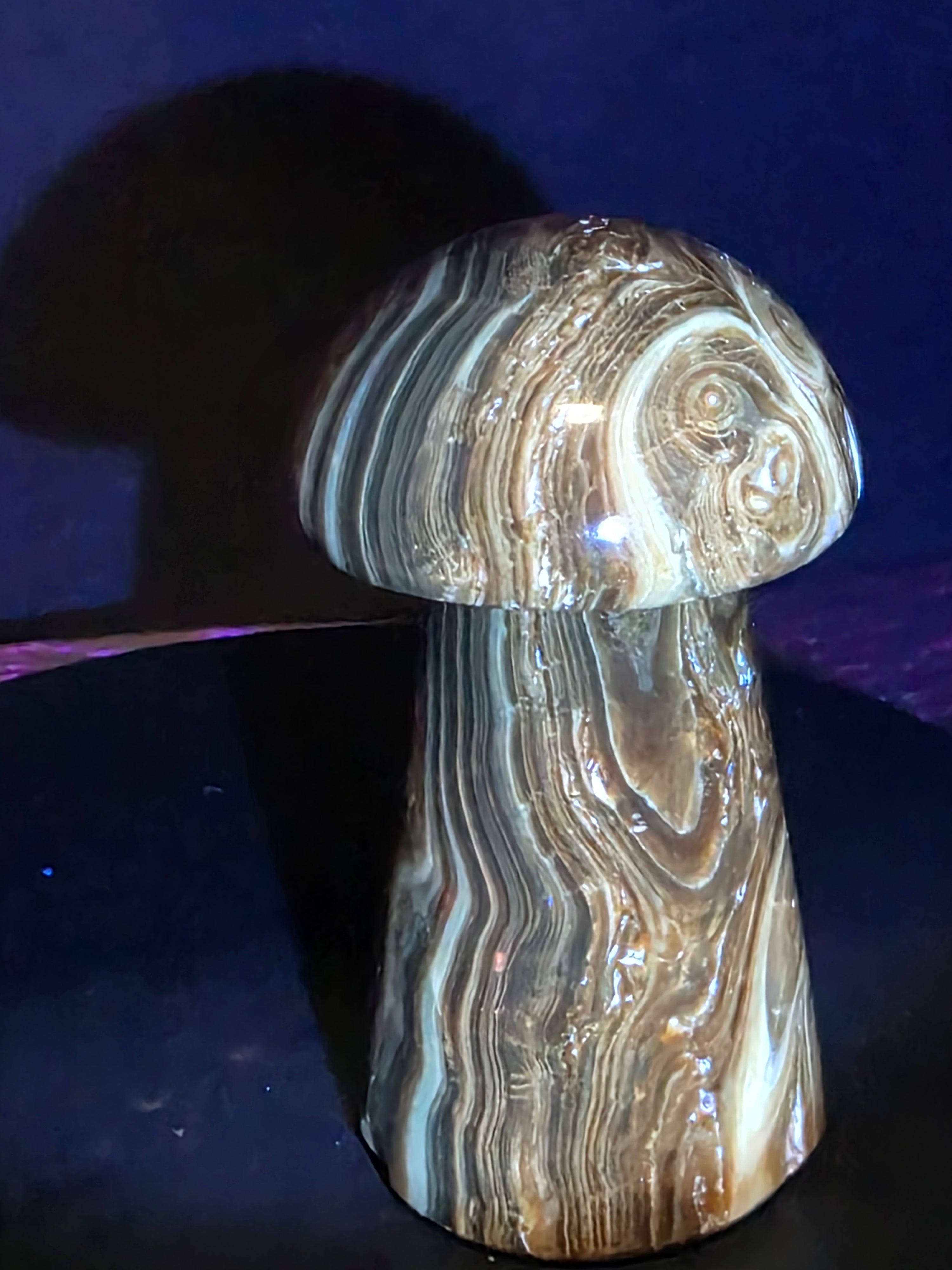 🍄 Chocolate Calcite Mushroom Carving A