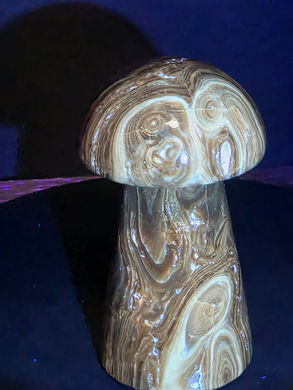 🍄 Chocolate Calcite Mushroom Carving A