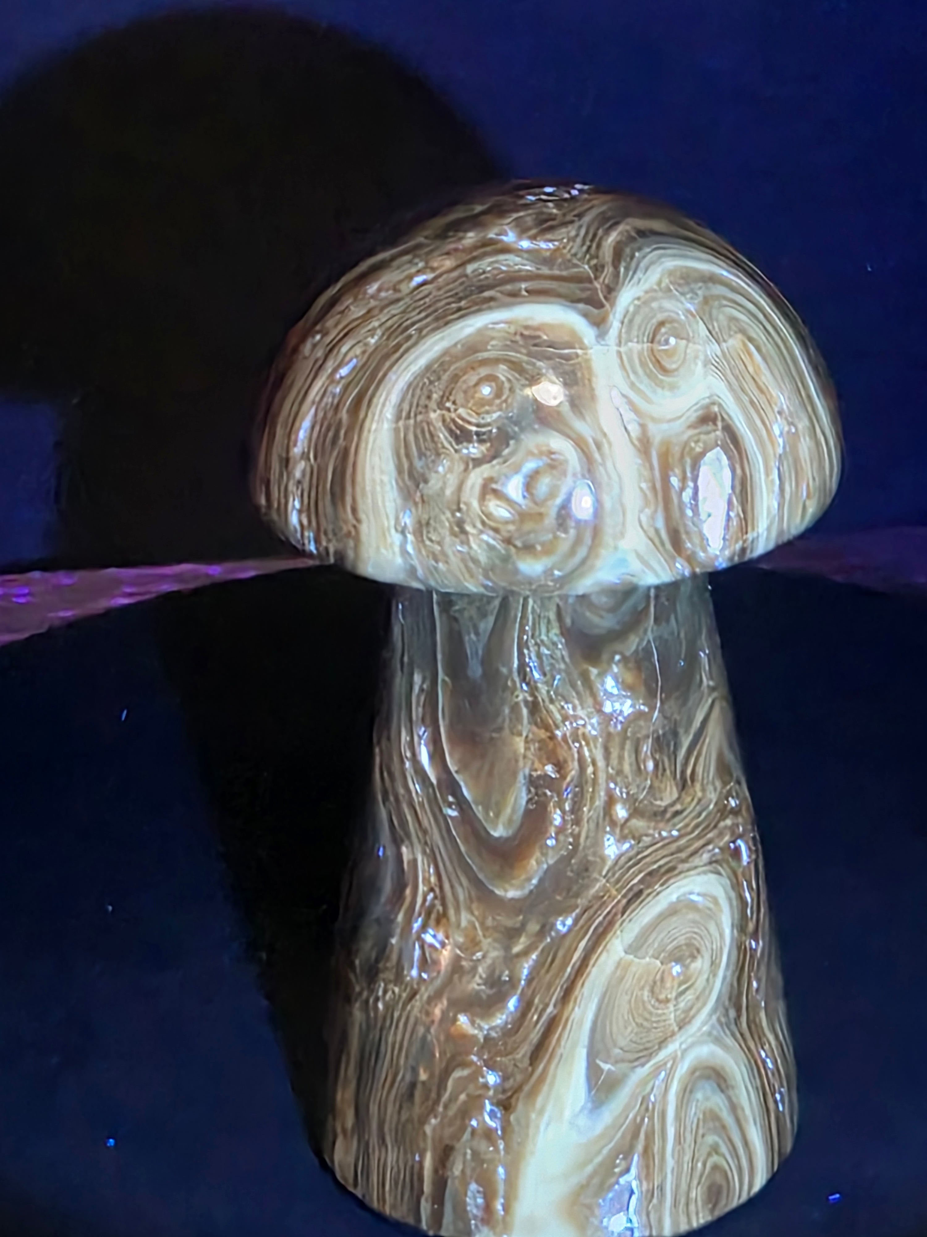 🍄 Chocolate Calcite Mushroom Carving A