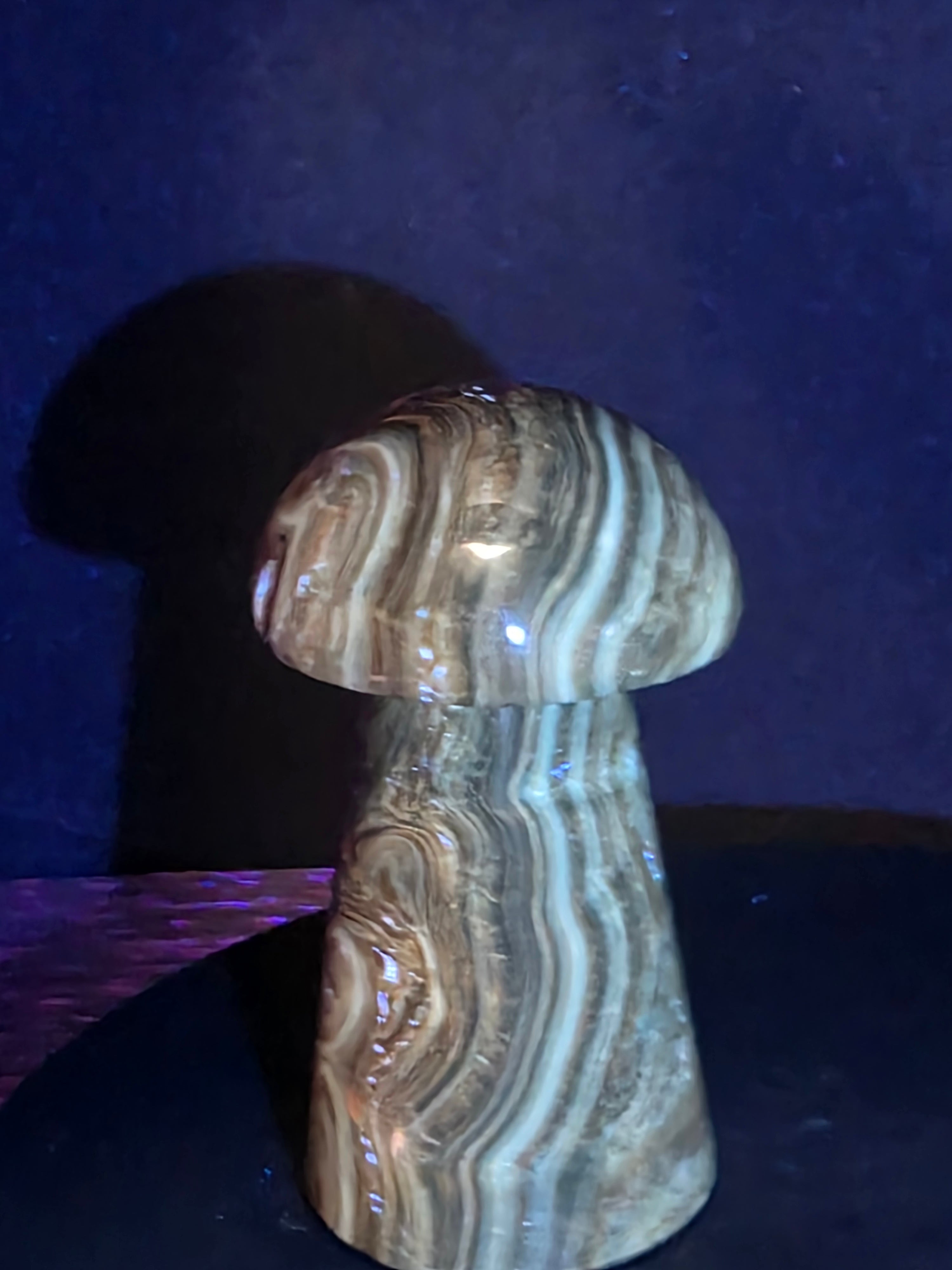 🍄 Chocolate Calcite Mushroom Carving A