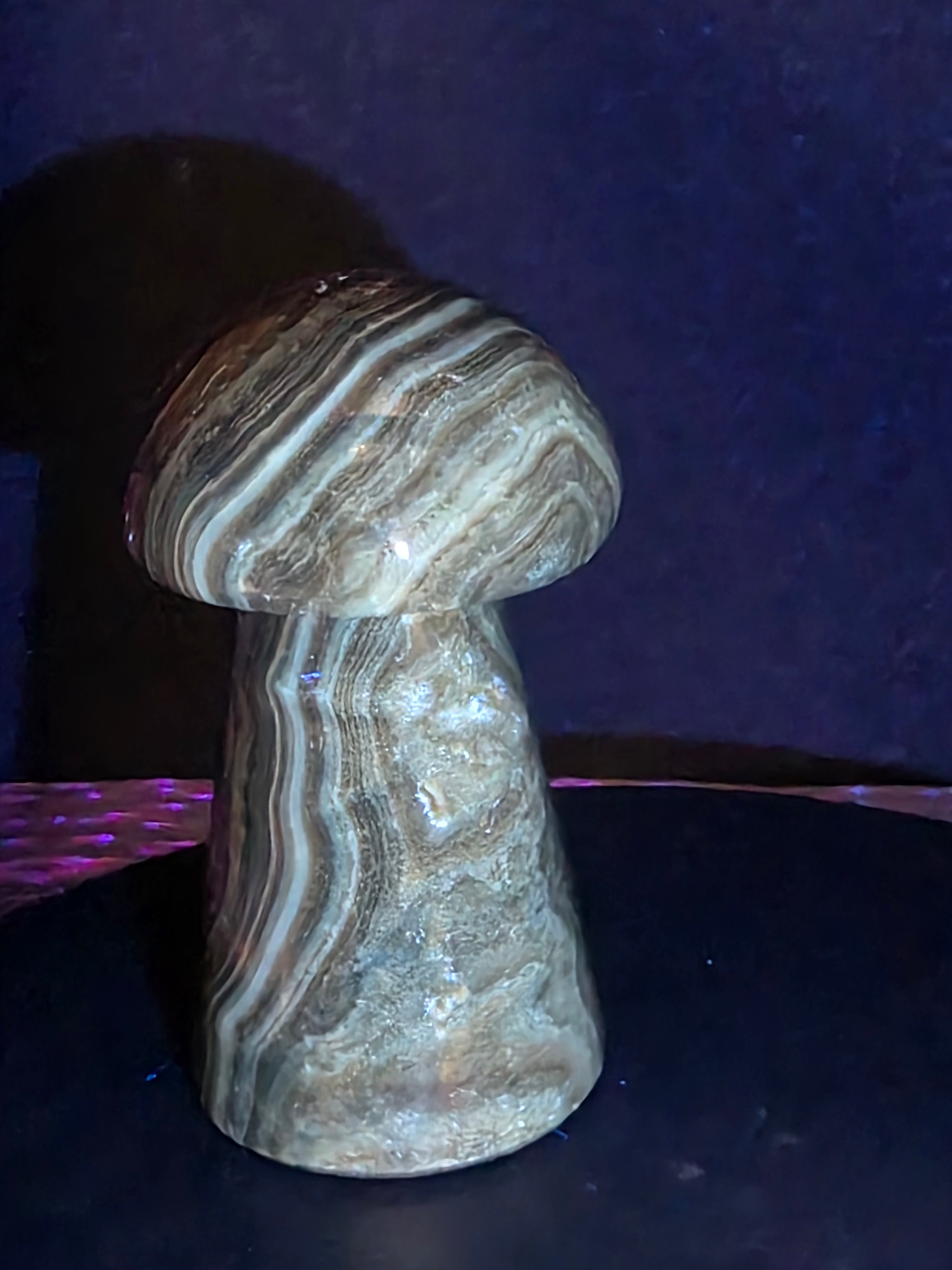 🍄 Chocolate Calcite Mushroom Carving A