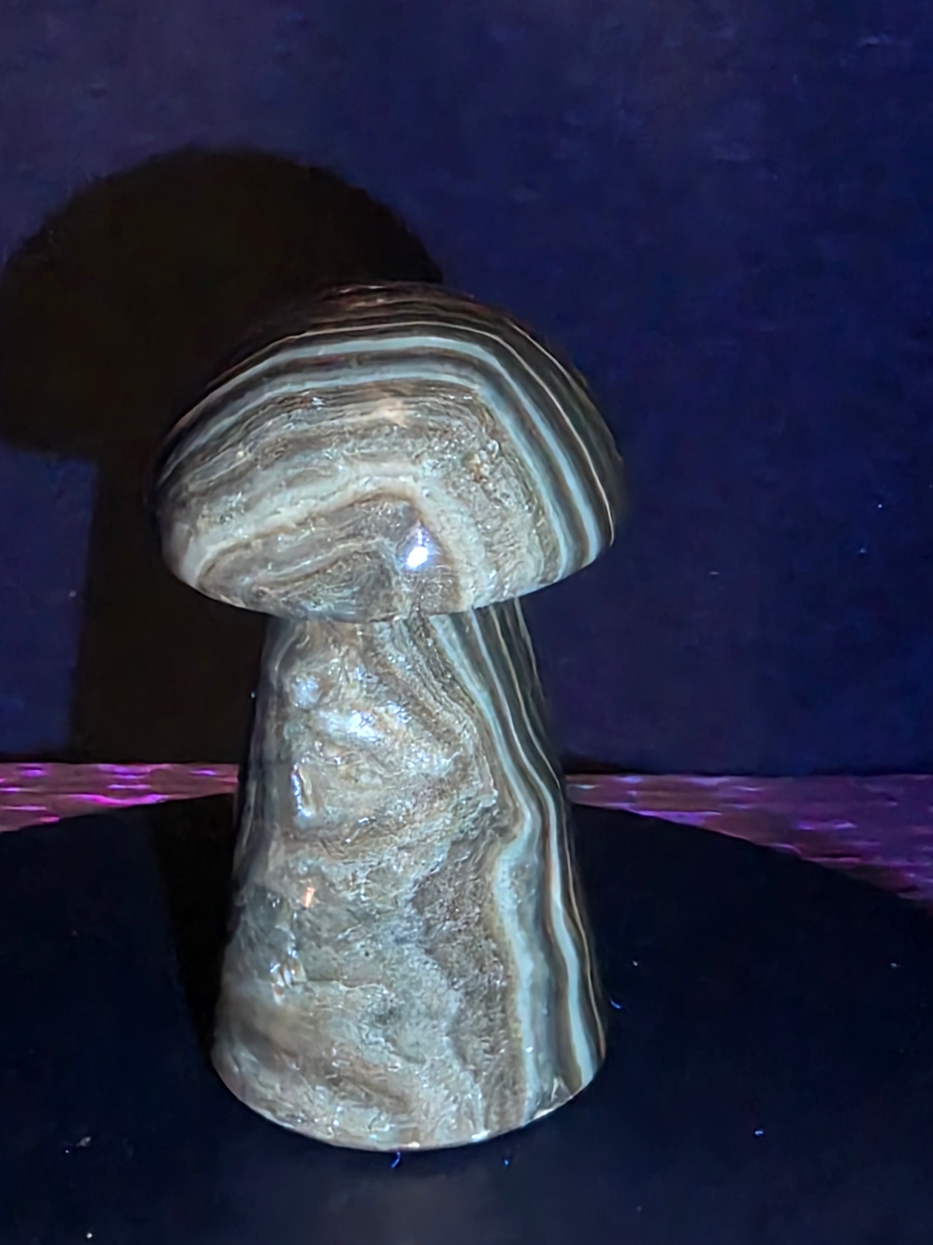 🍄 Chocolate Calcite Mushroom Carving A
