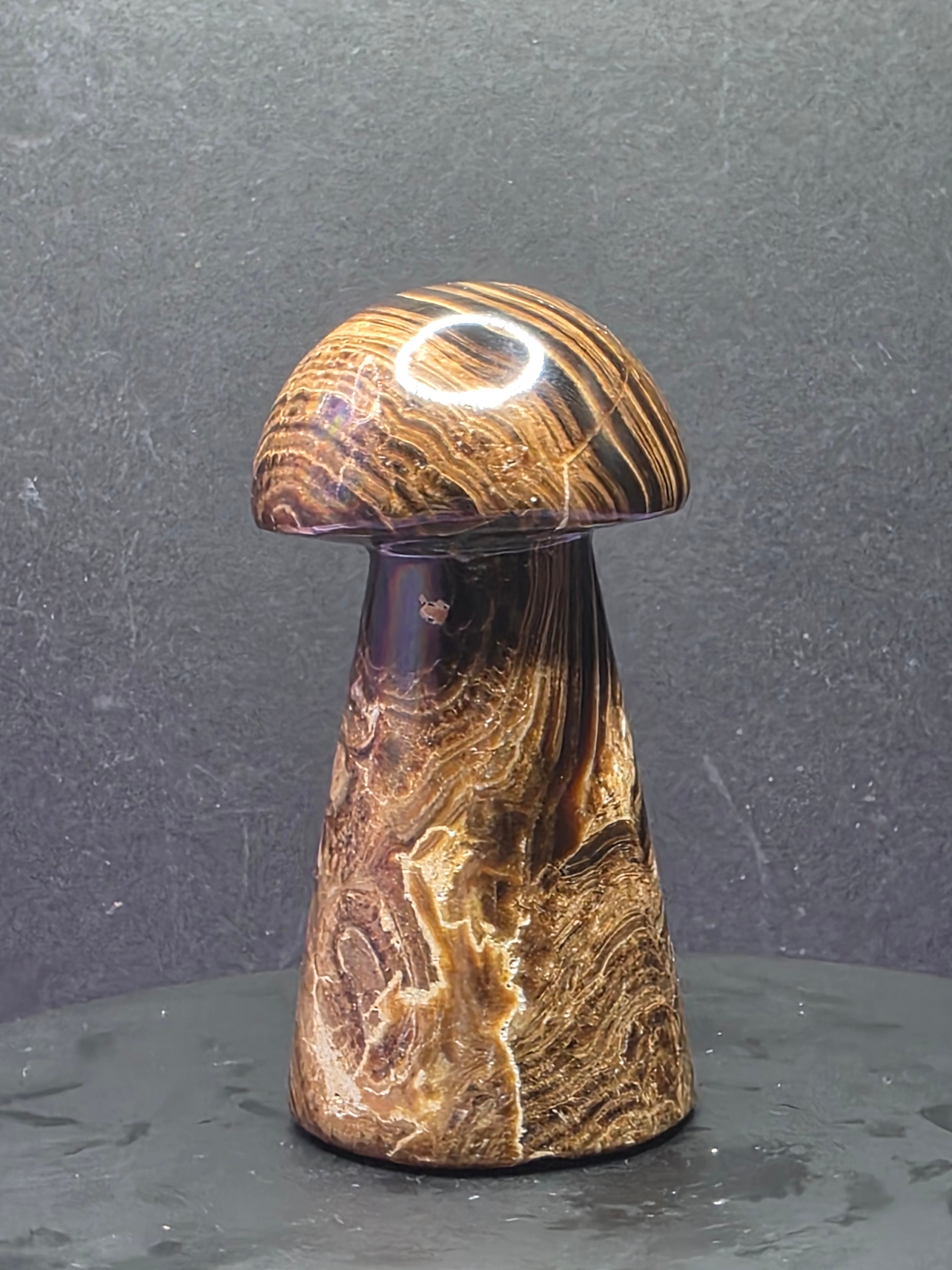 🍄 Chocolate Calcite Mushroom Carving B