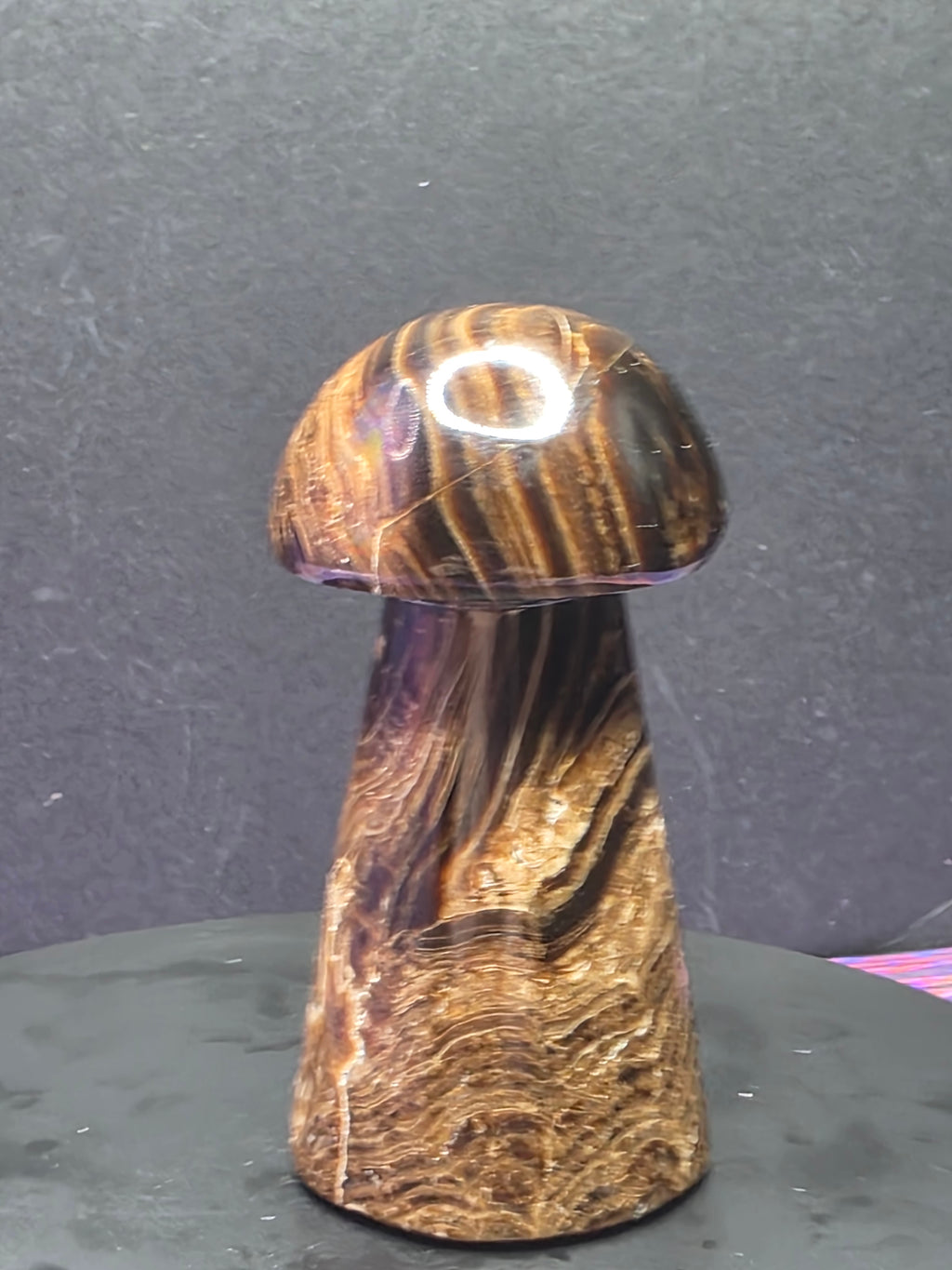 🍄 Chocolate Calcite Mushroom Carving B