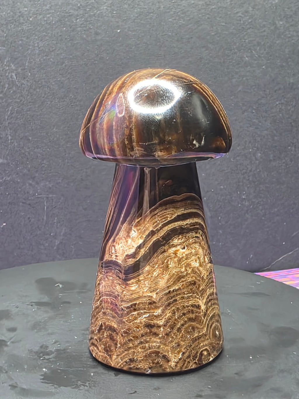 🍄 Chocolate Calcite Mushroom Carving B