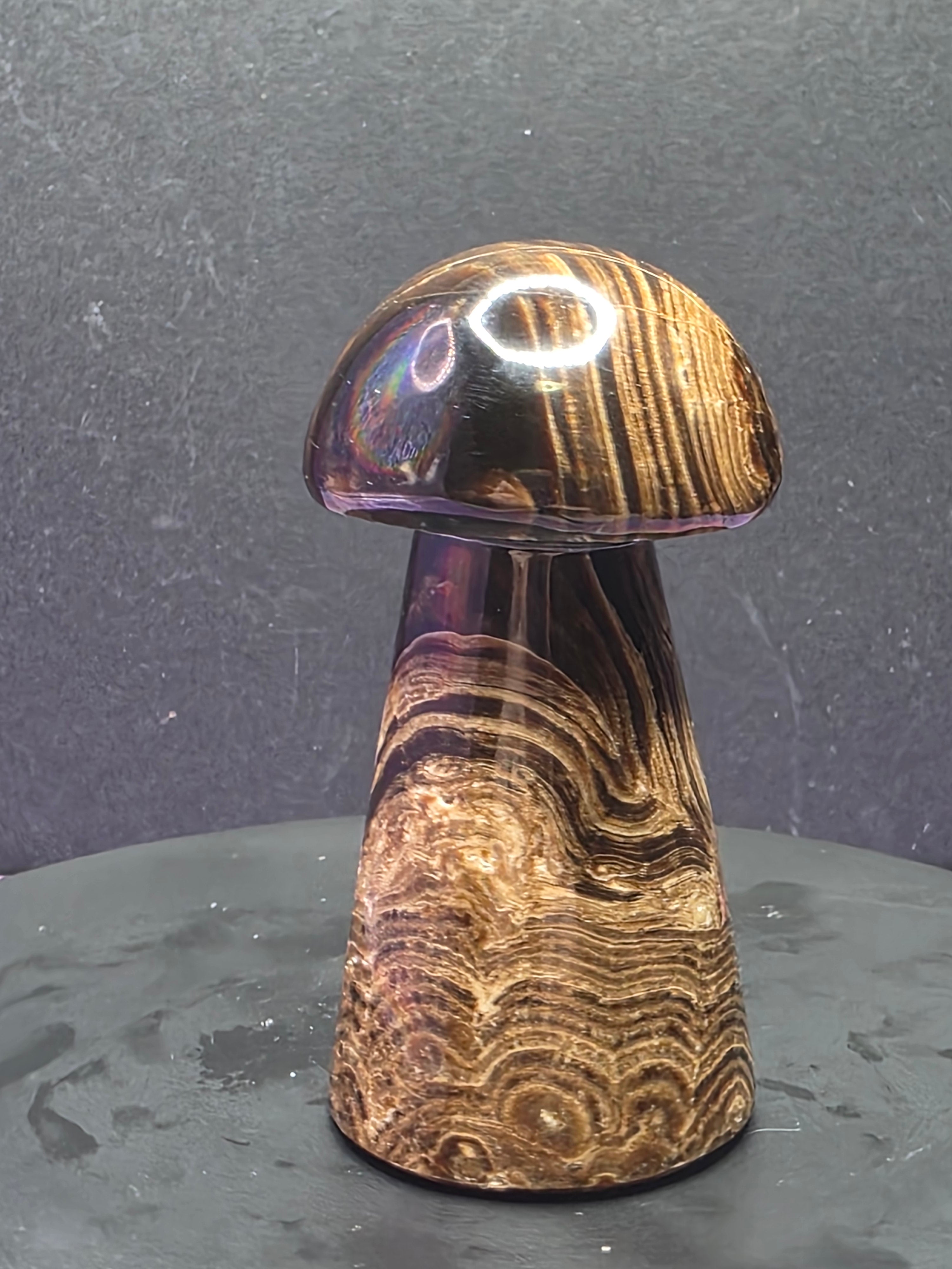 🍄 Chocolate Calcite Mushroom Carving B