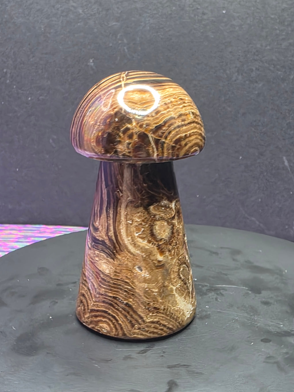 🍄 Chocolate Calcite Mushroom Carving B
