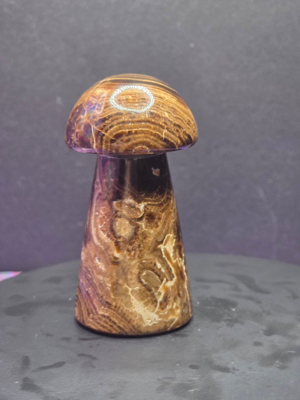 🍄 Chocolate Calcite Mushroom Carving B