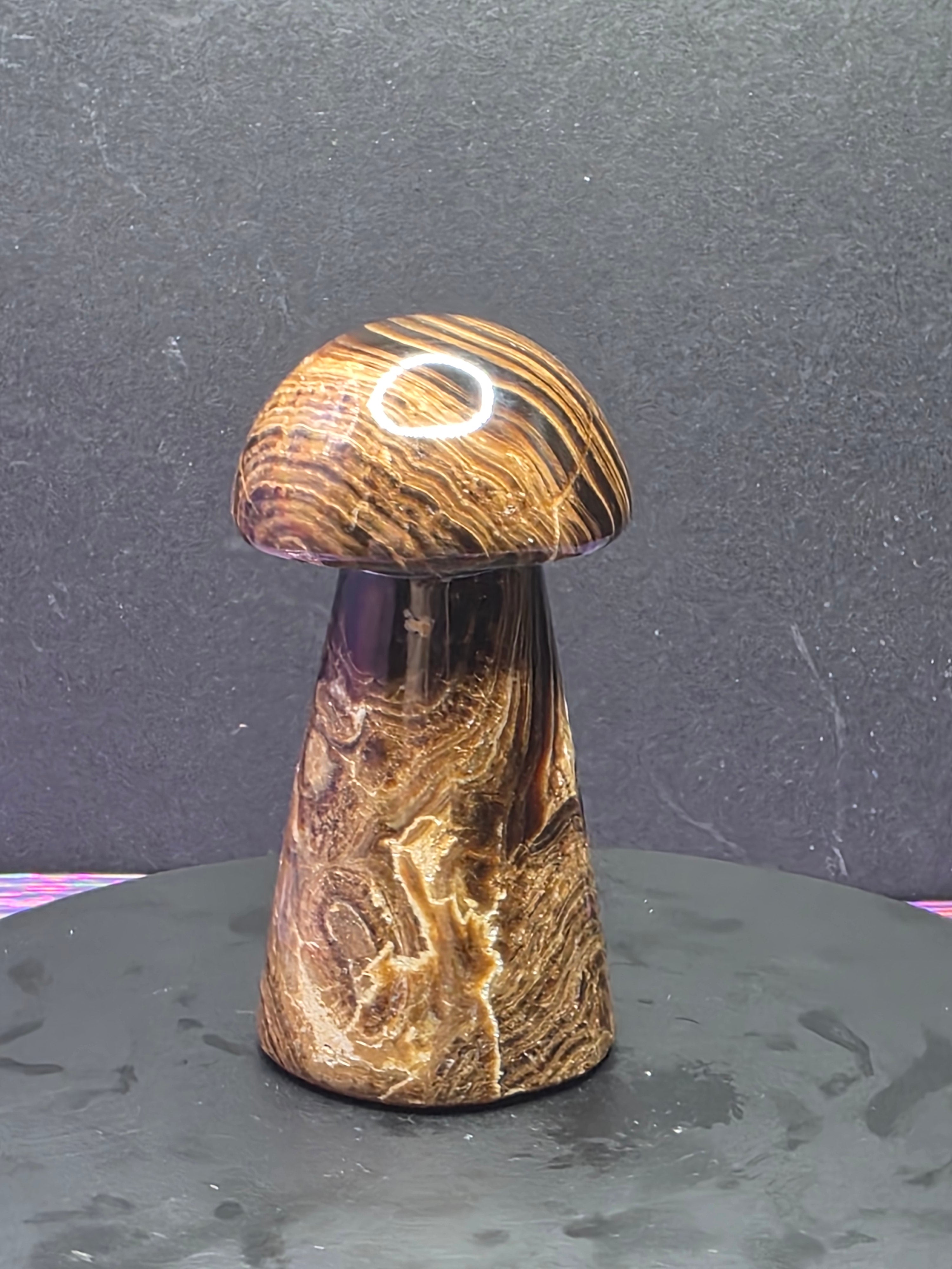 🍄 Chocolate Calcite Mushroom Carving B