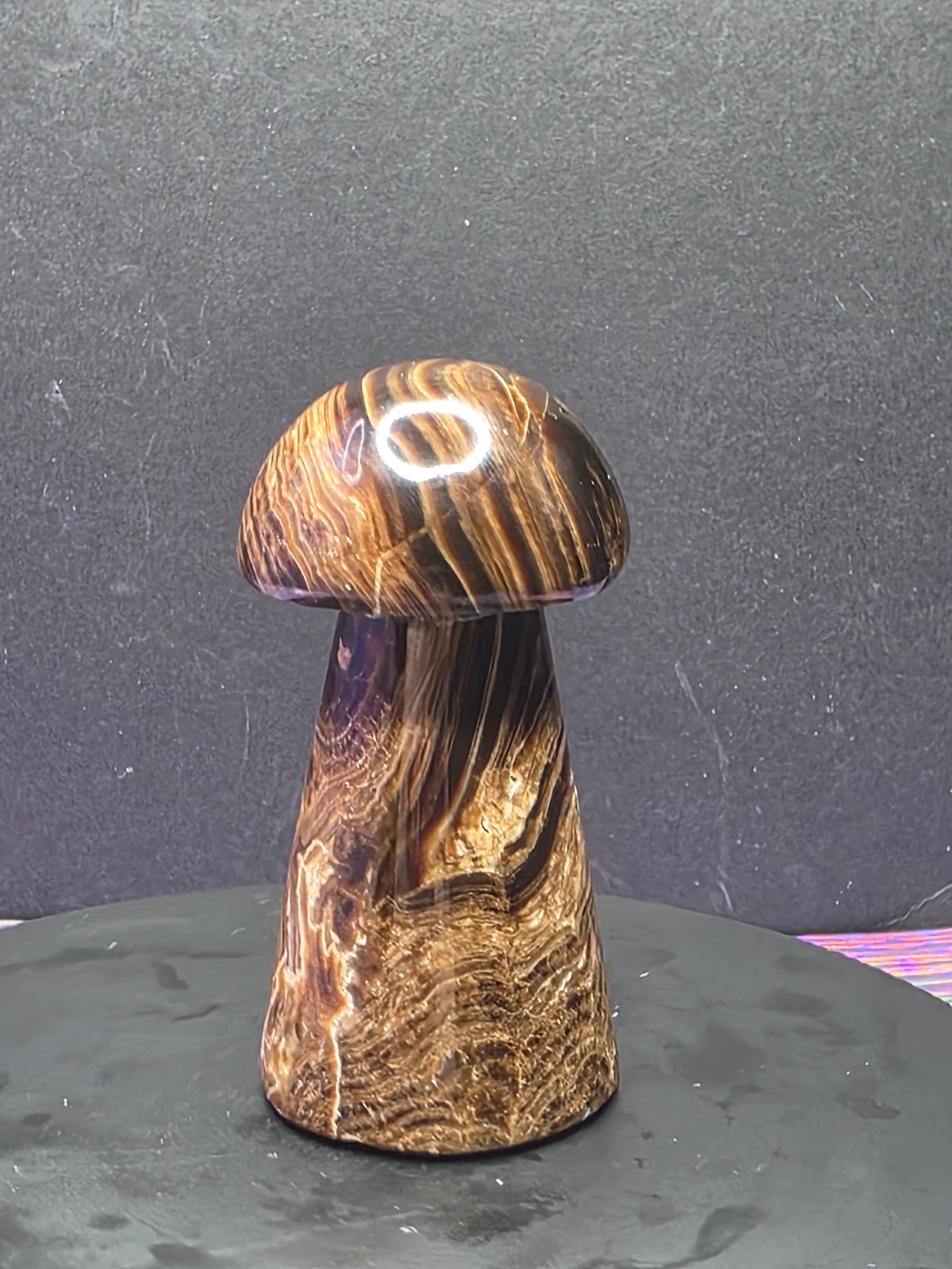 🍄 Chocolate Calcite Mushroom Carving B