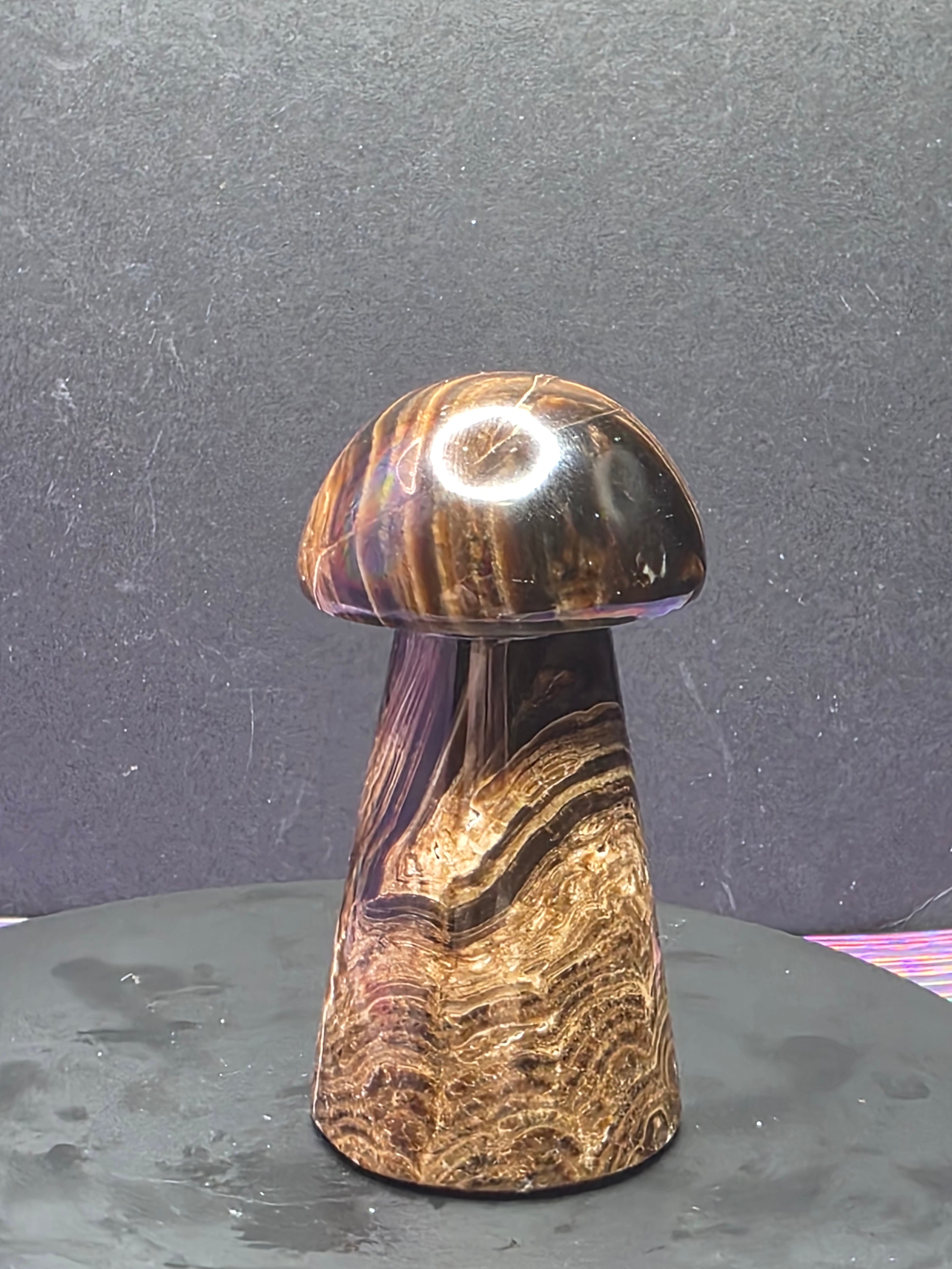 🍄 Chocolate Calcite Mushroom Carving B