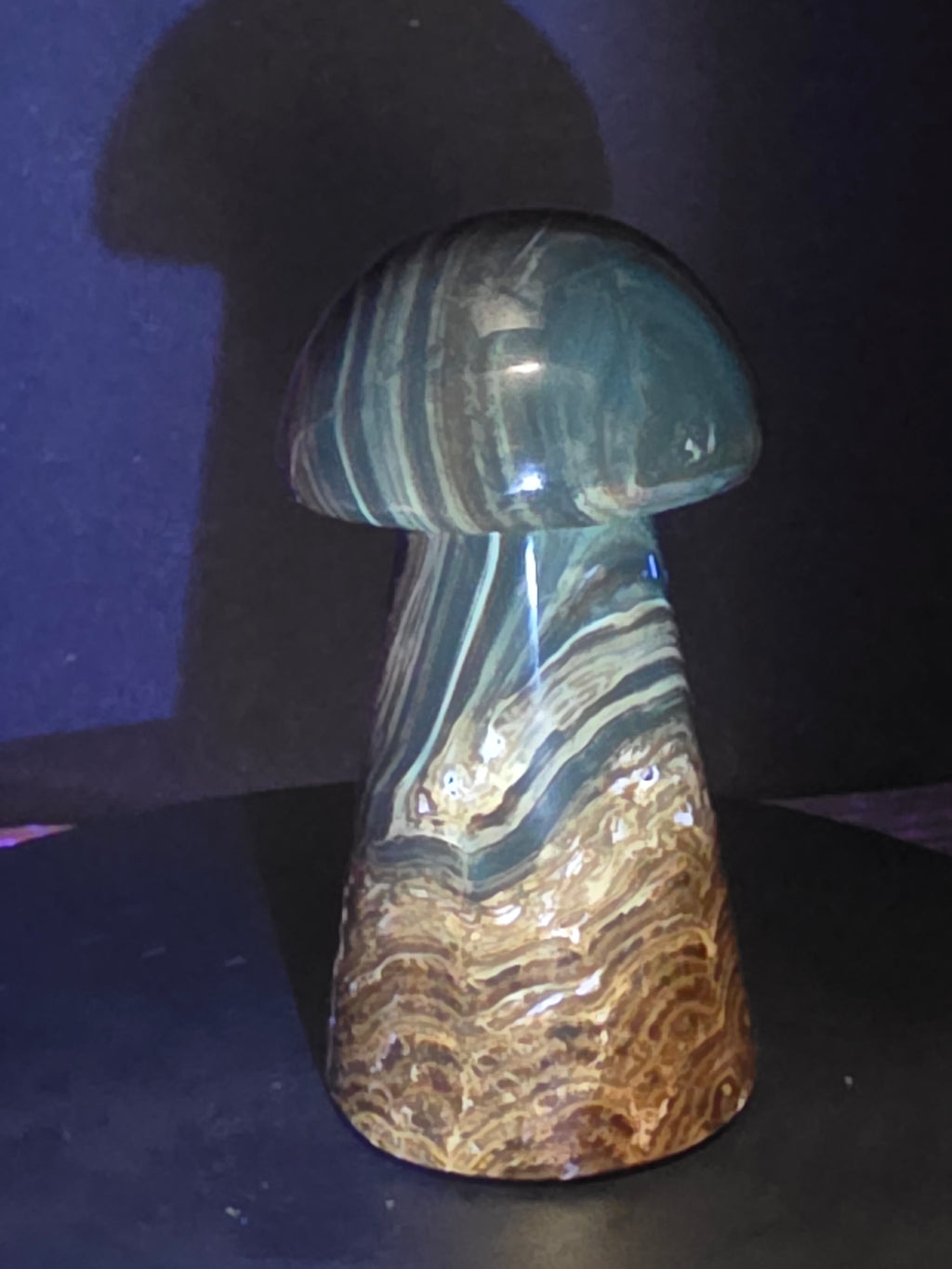 🍄 Chocolate Calcite Mushroom Carving B