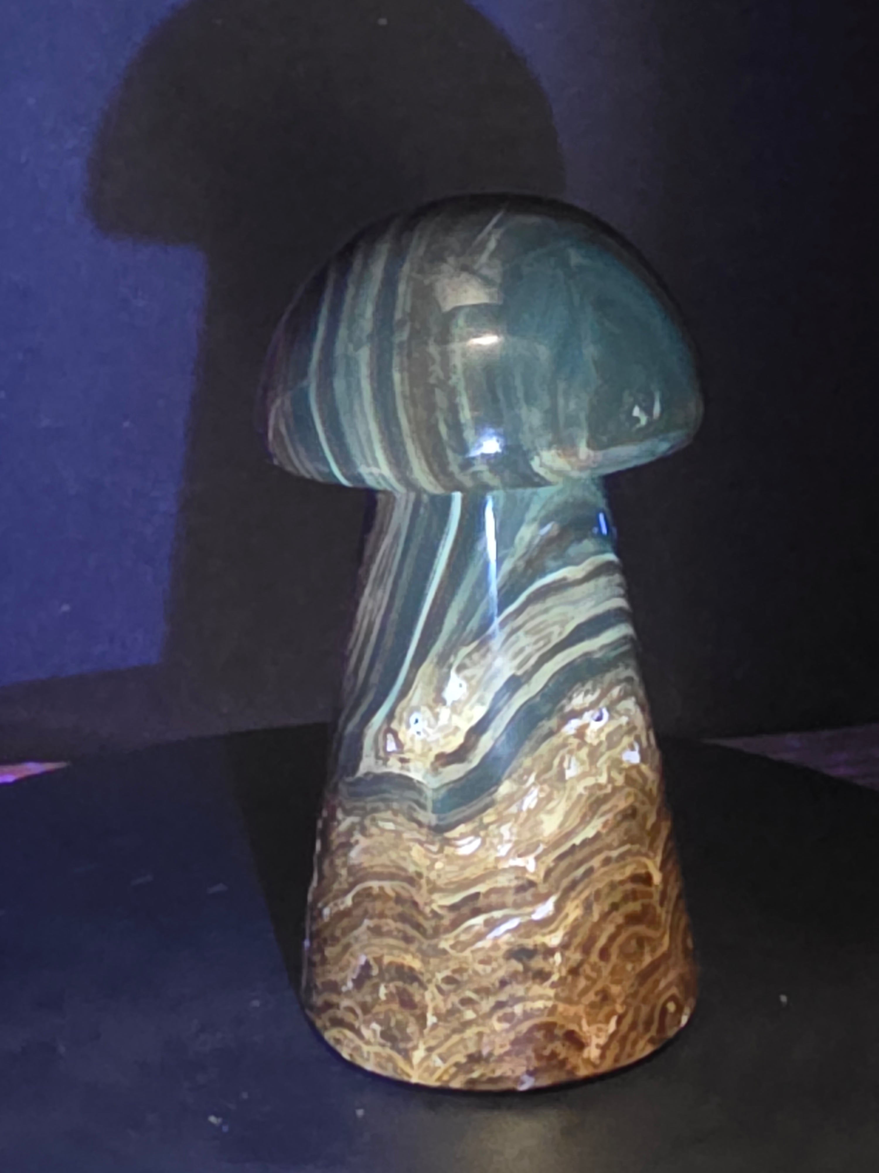 🍄 Chocolate Calcite Mushroom Carving B